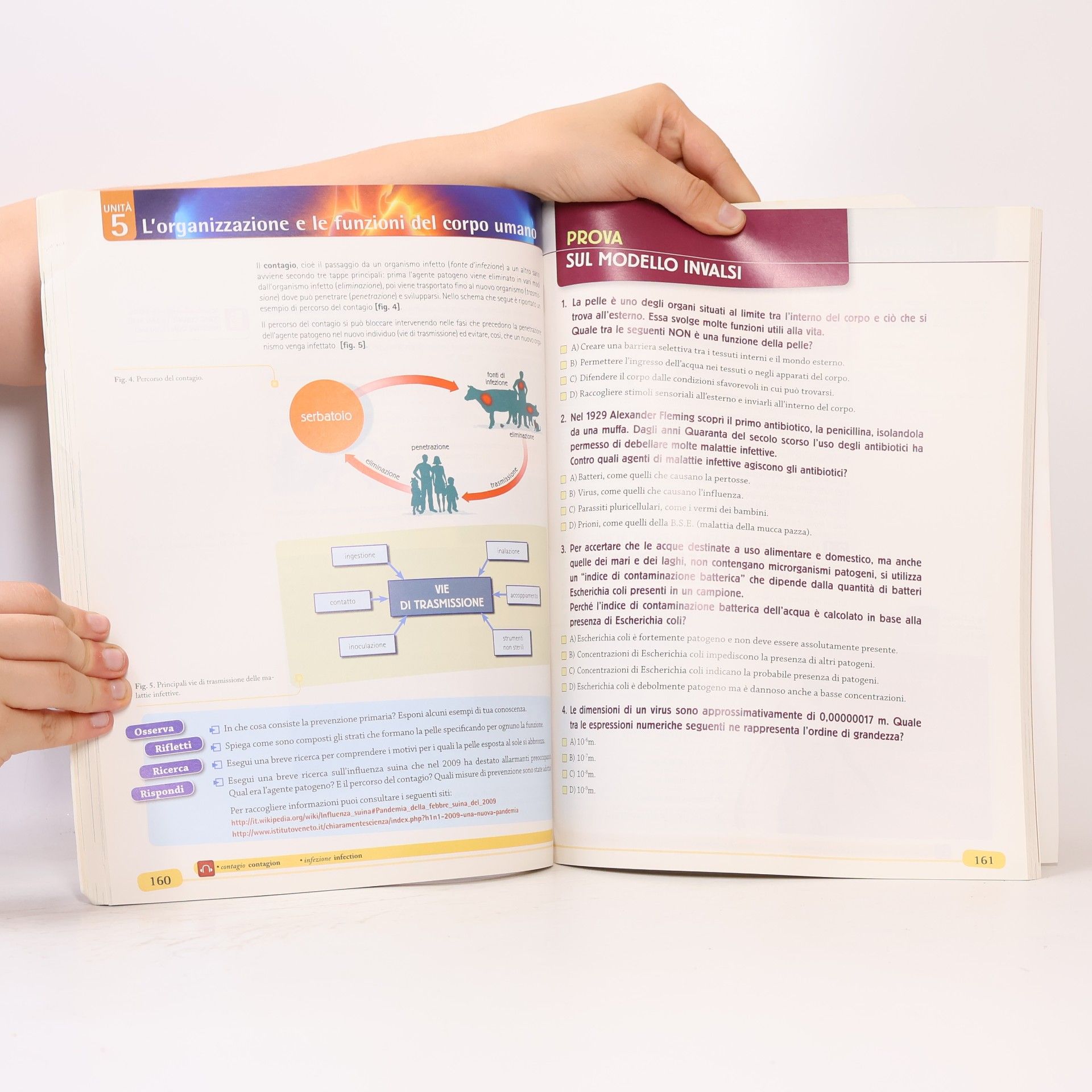 Anna Dal Negro Alla scoperta della vita. Biologia. Per le scuole superiori. Con e-book. Con espansione online