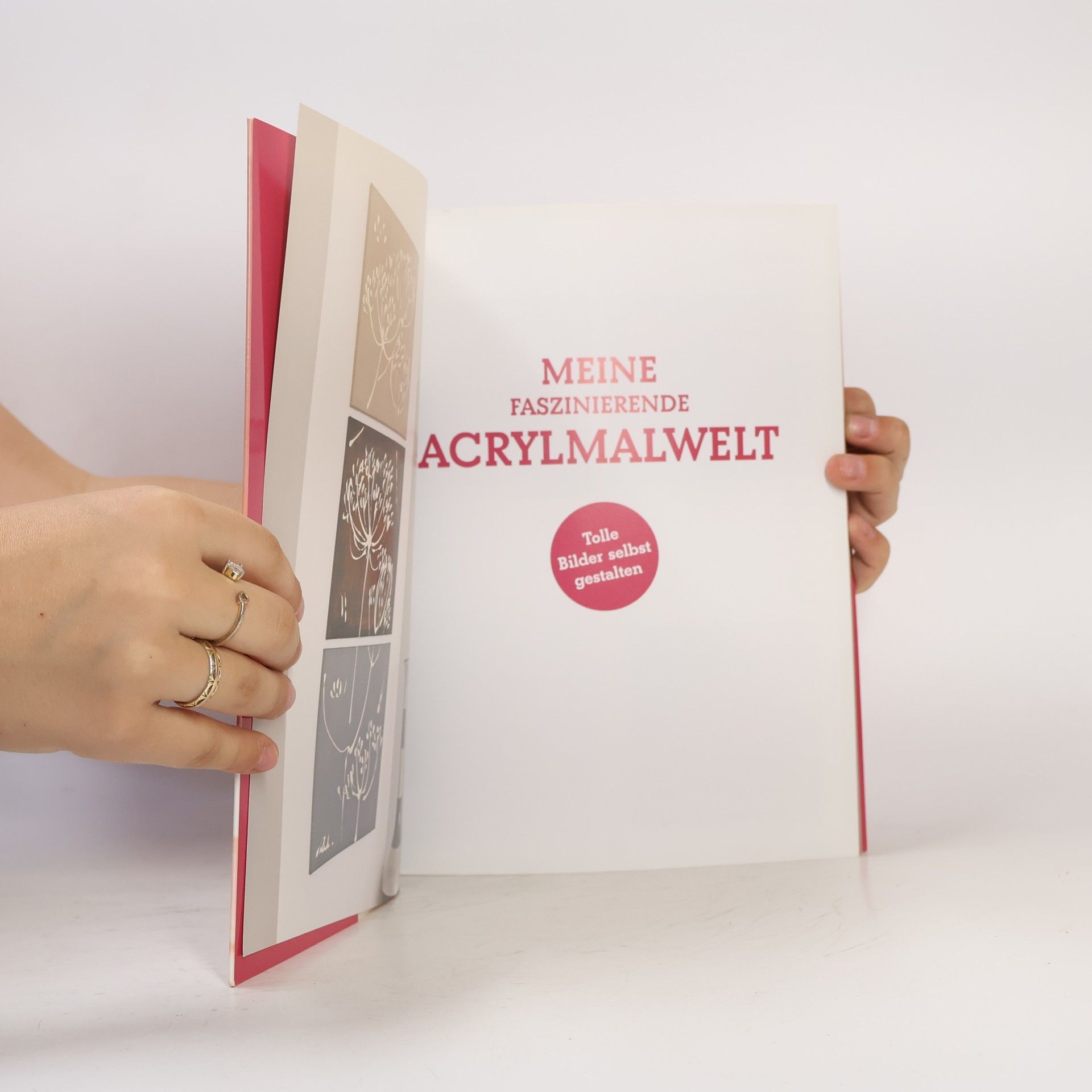 Autorenkollektiv Meine faszinierende Acrylmalwelt