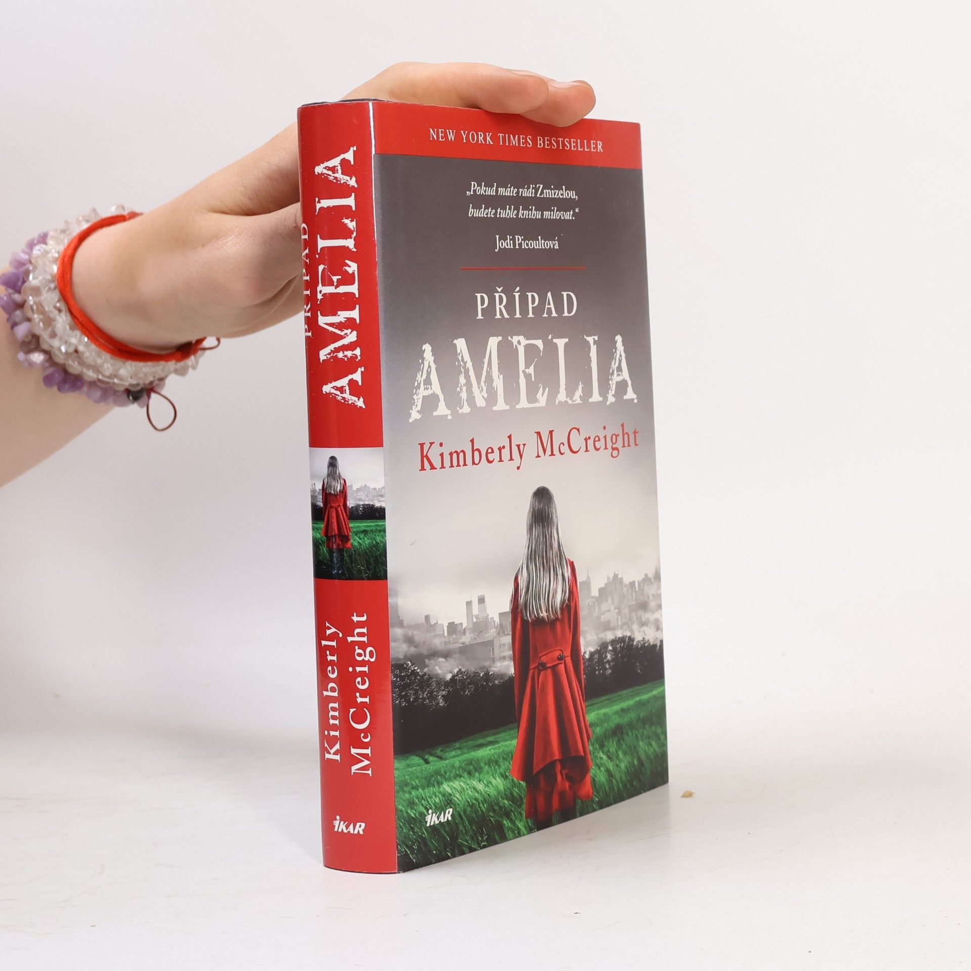 Kimberly McCreight Případ Amelia