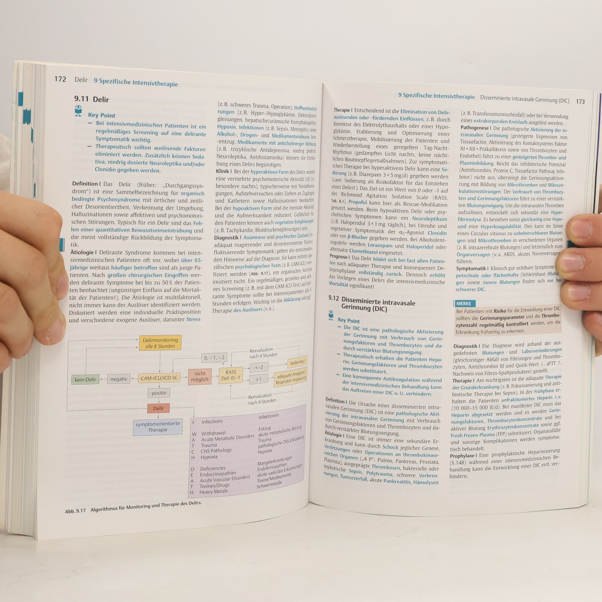 Wolfgang A. Wetsch Kurzlehrbuch Anästhesie, Intensivmedizin, Notfallmedizin und Schmerztherapie