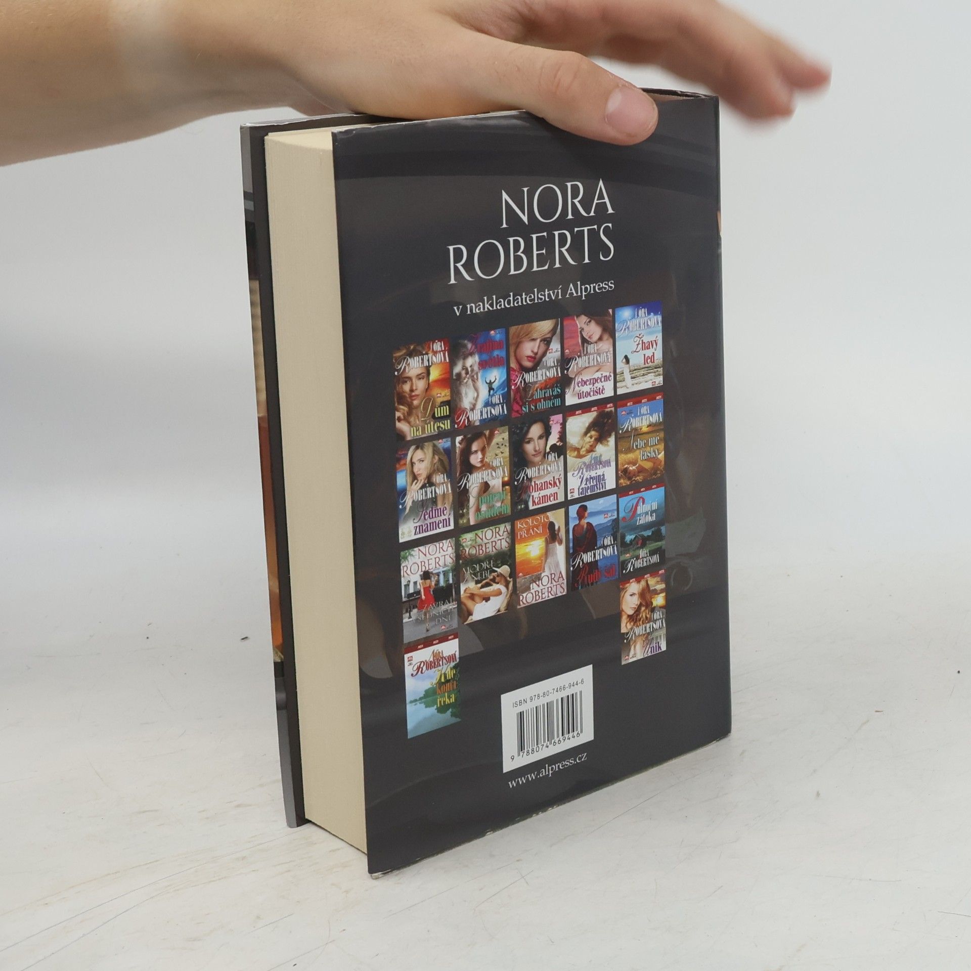 Nora Roberts Kdo chce víc