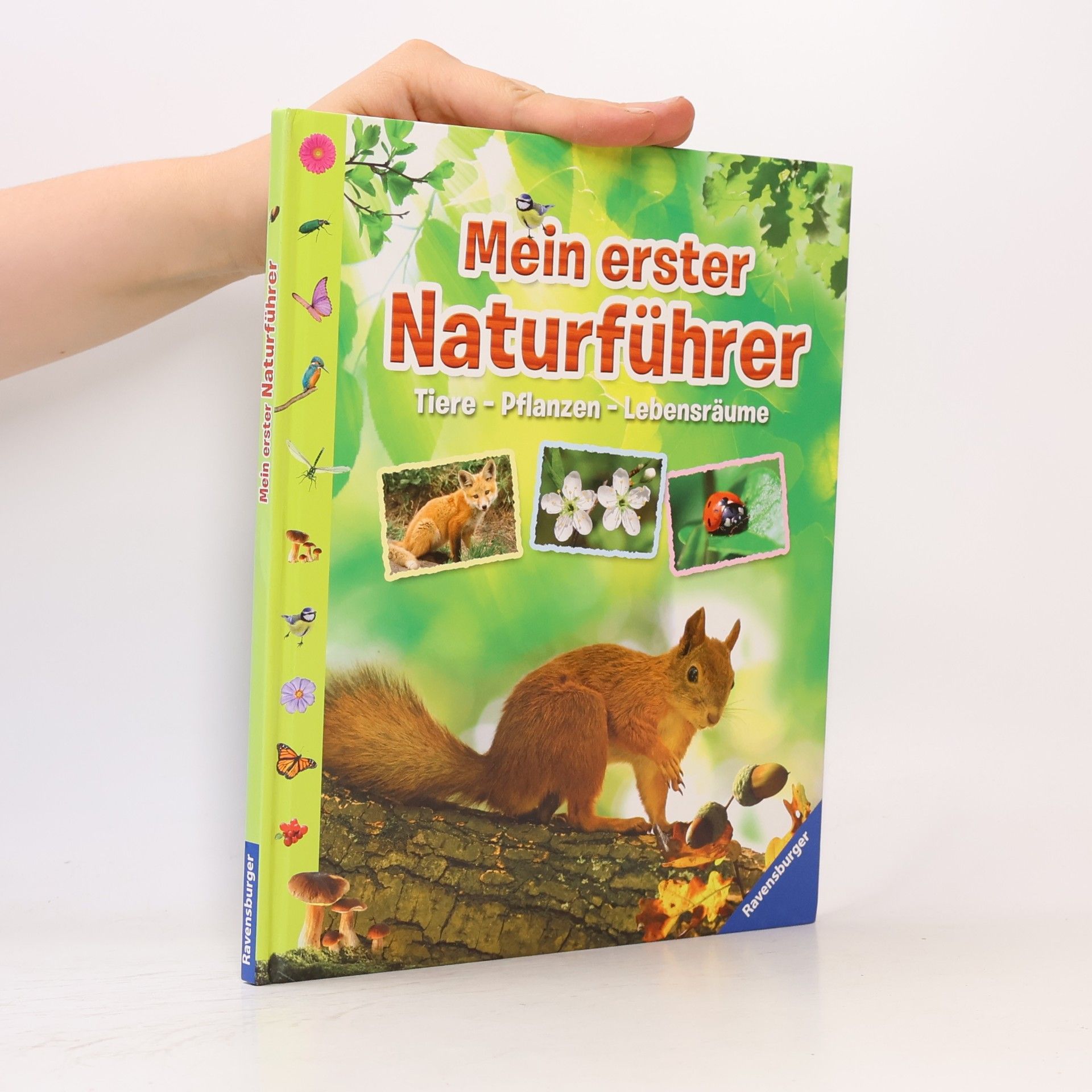 Angelika Lenz Mein erster Naturführer
