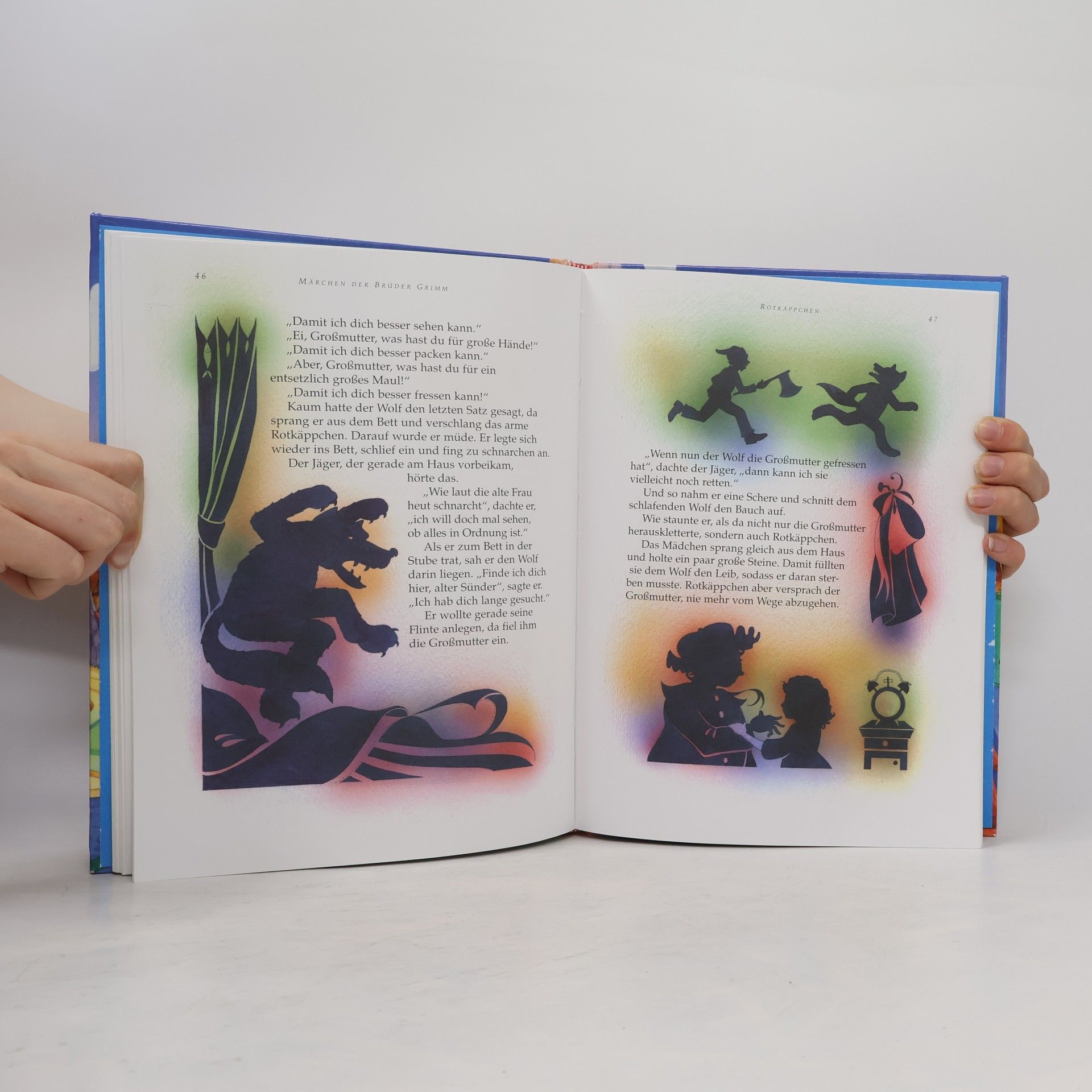 Collectif d'auteurs Die schönsten Märchen der Brüder Grimm