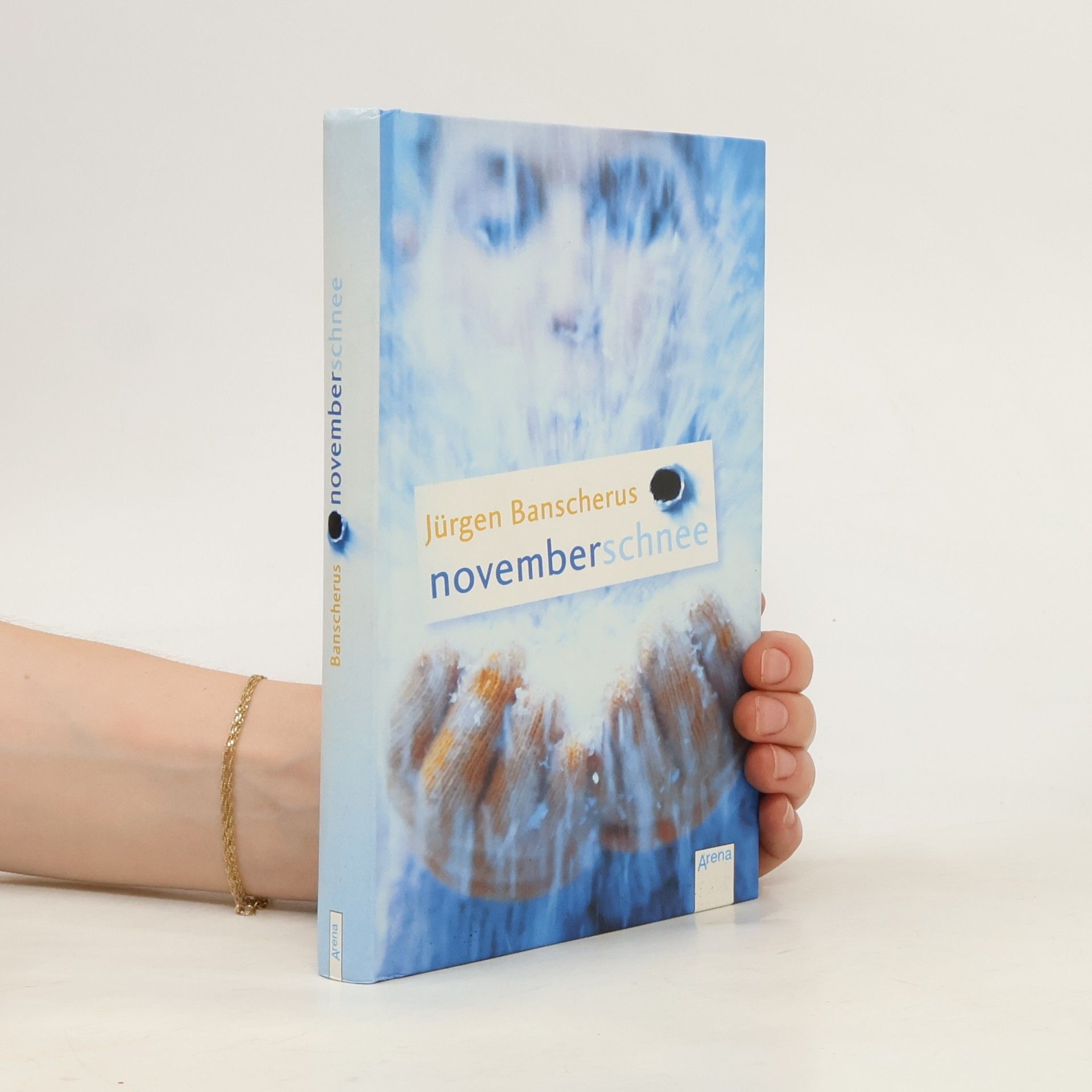 Jürgen Banscherus Novemberschnee