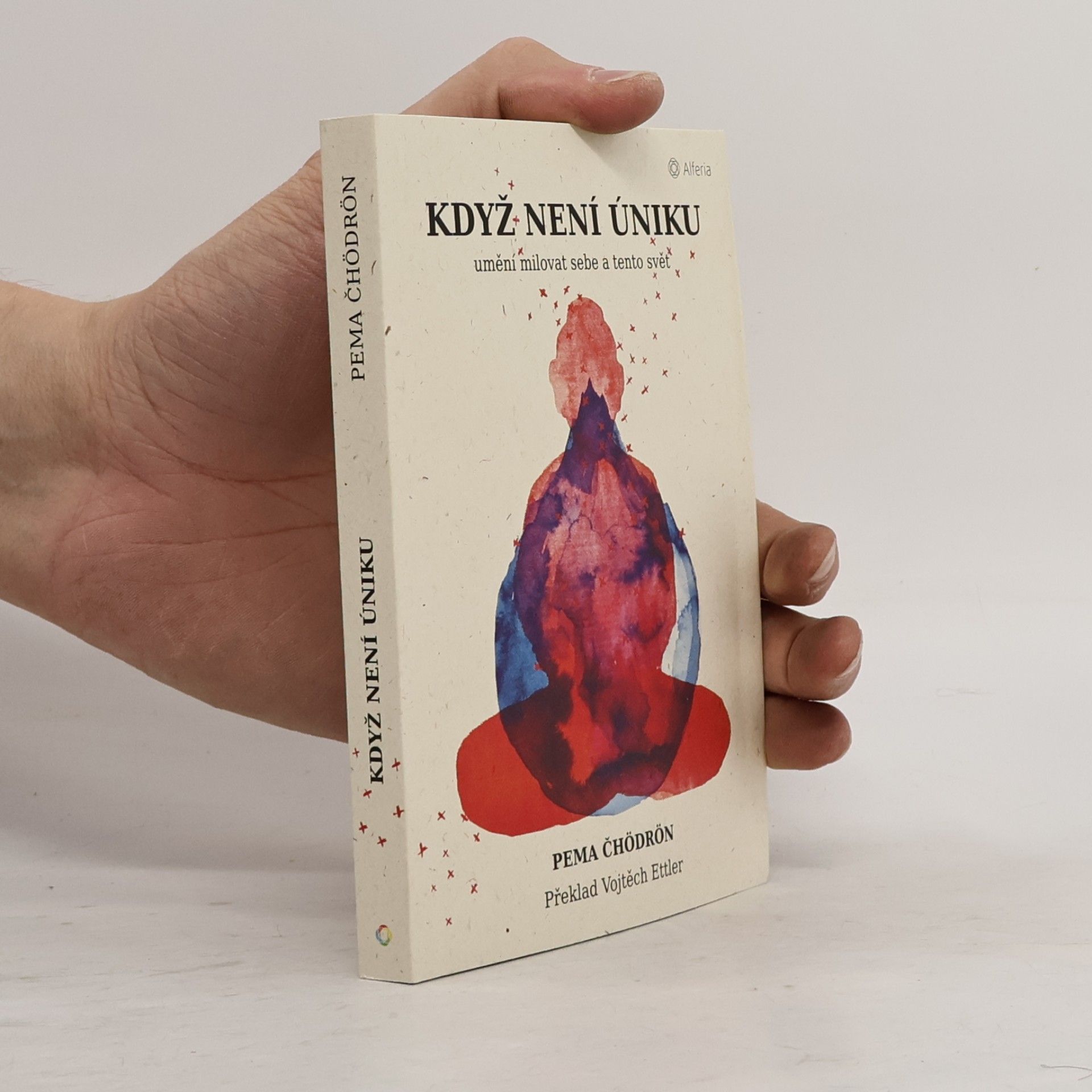 Pema Chödrön Když není úniku: Umění milovat sebe a tento svět