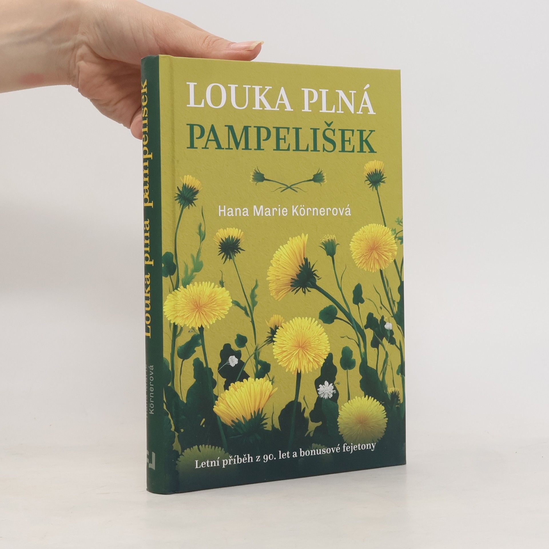 Louka plná pampelišek
