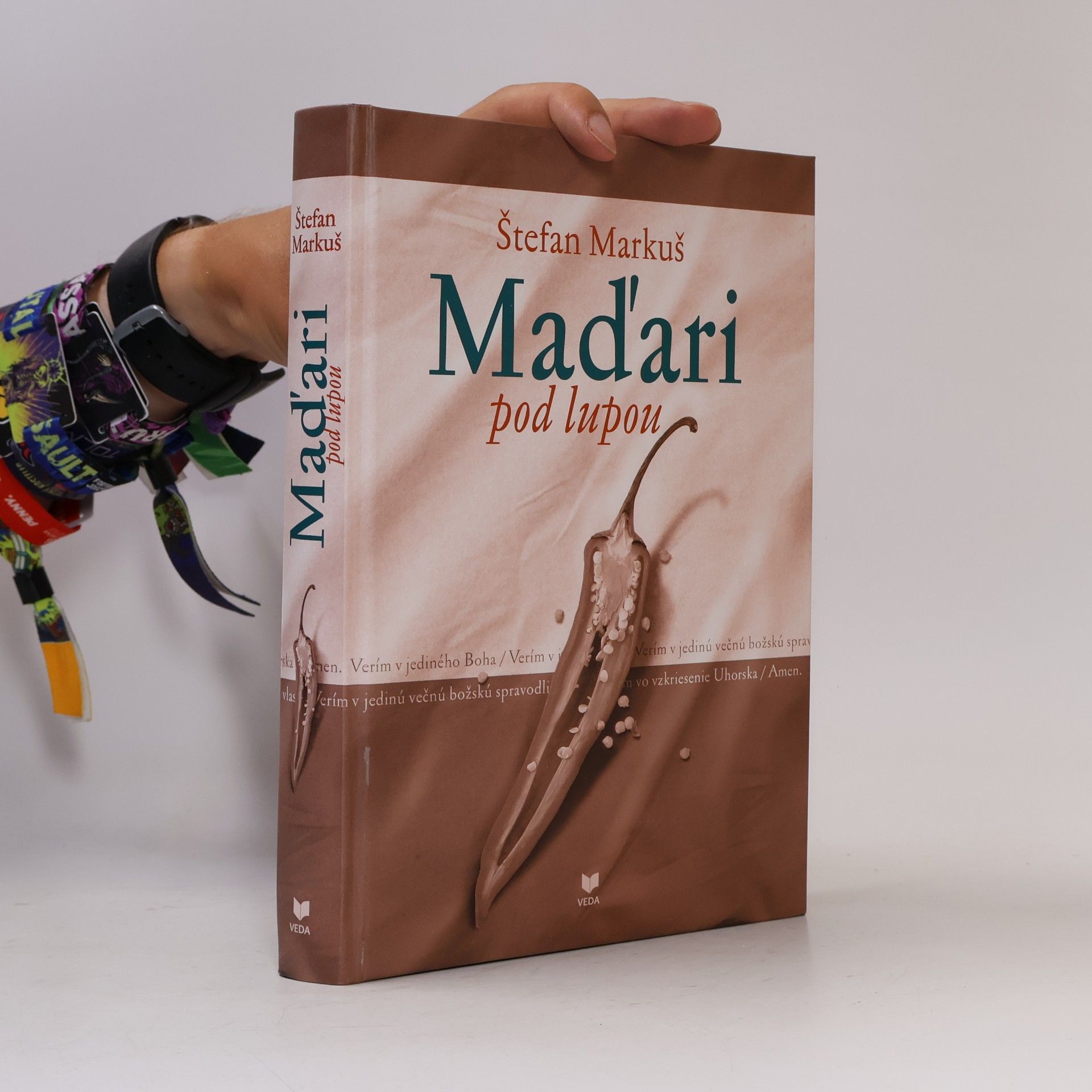 Štefan Markuš Maďari pod lupou