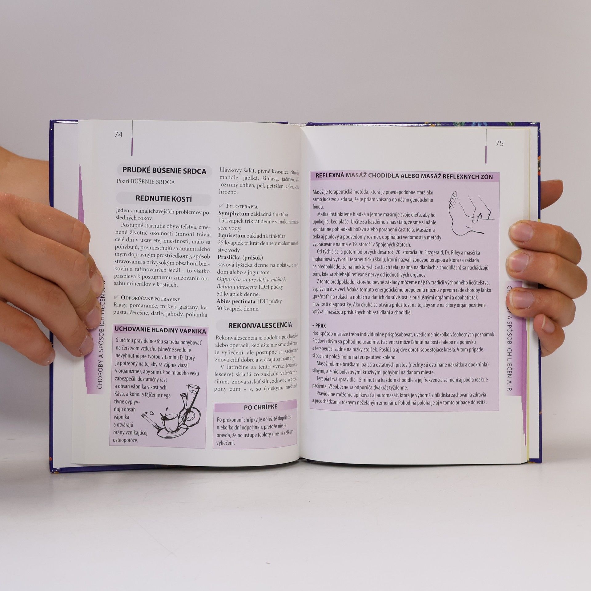 Autorenkollektiv Domáca lekáreň (Prírodné liečivá)