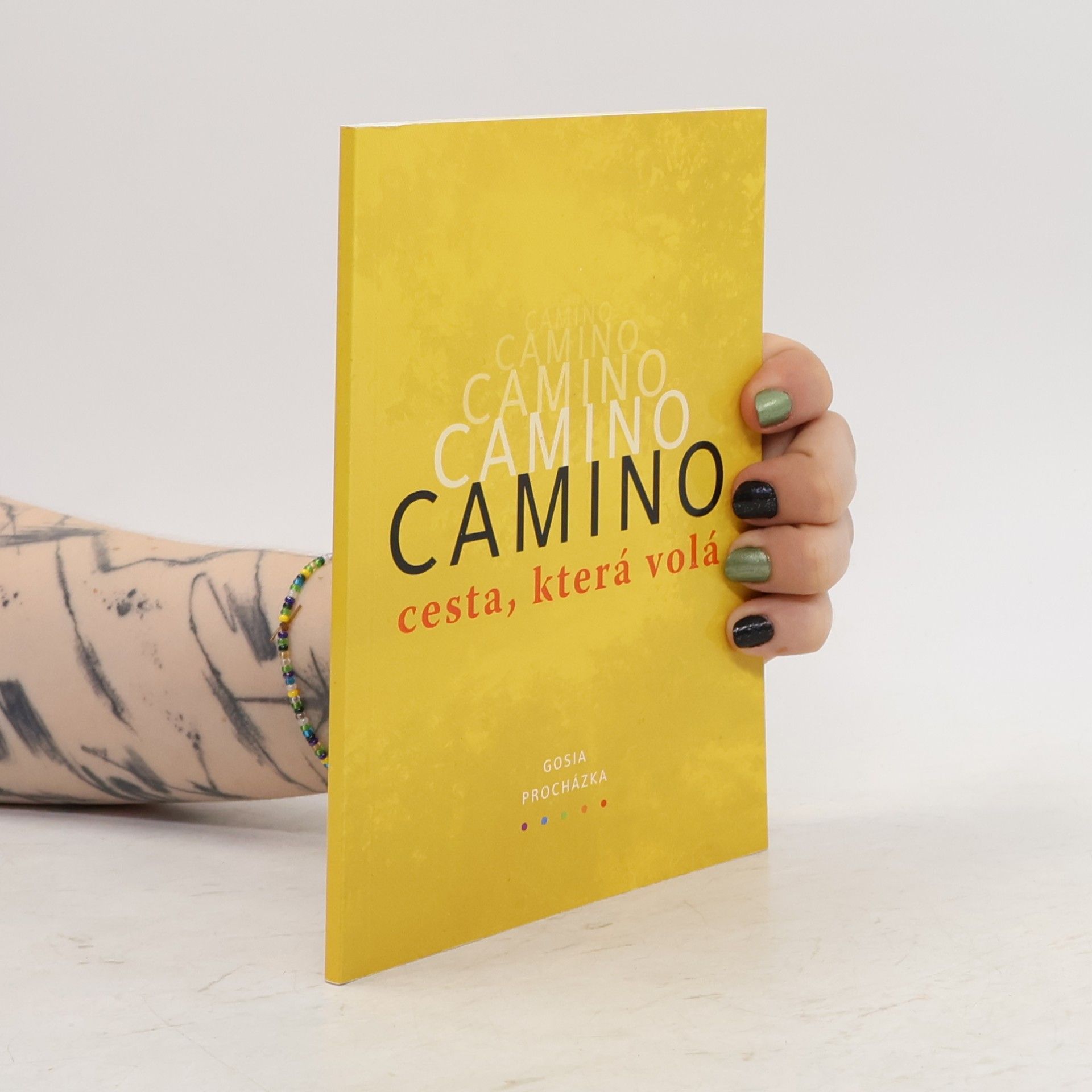 Autores varios Camino. Cesta, která volá