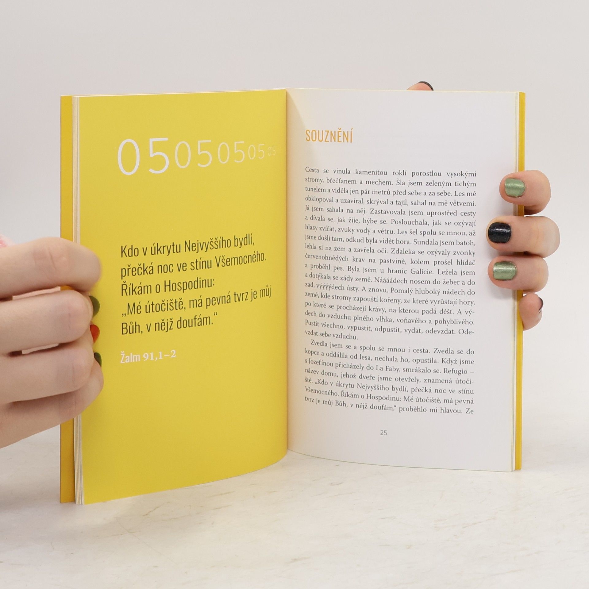 Autores varios Camino. Cesta, která volá