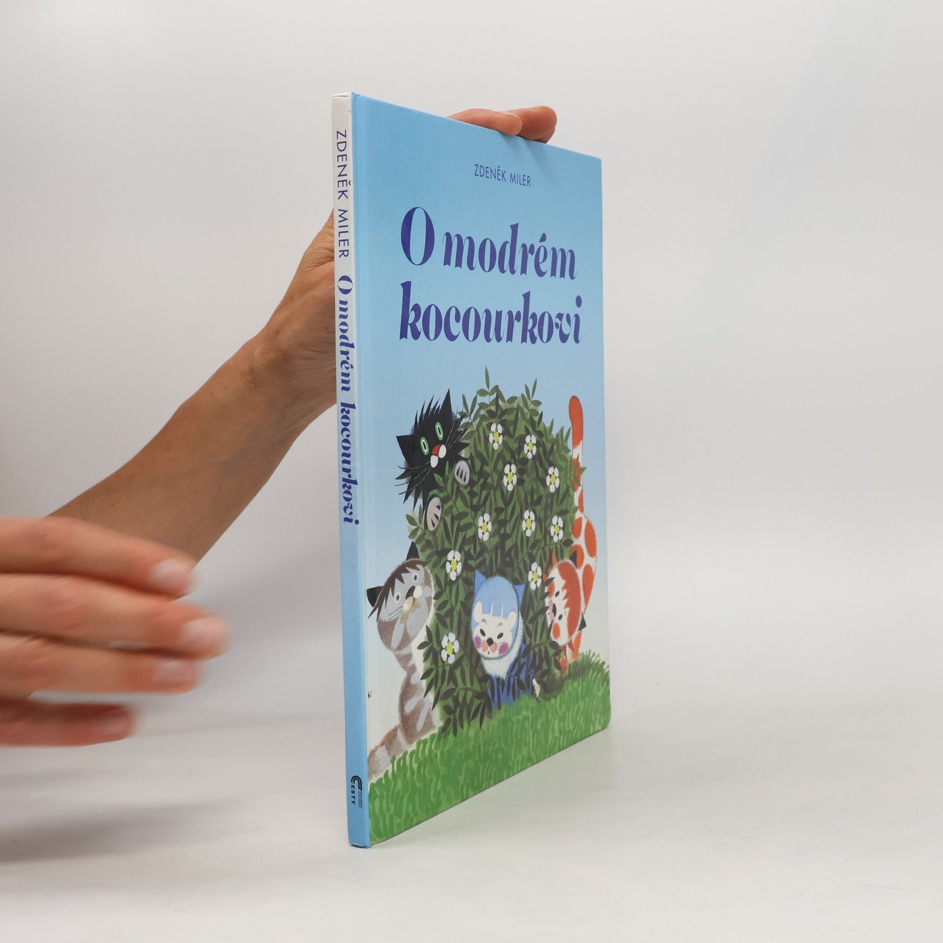 Marika Hellstrom Kennedy O modrém kocourkovi