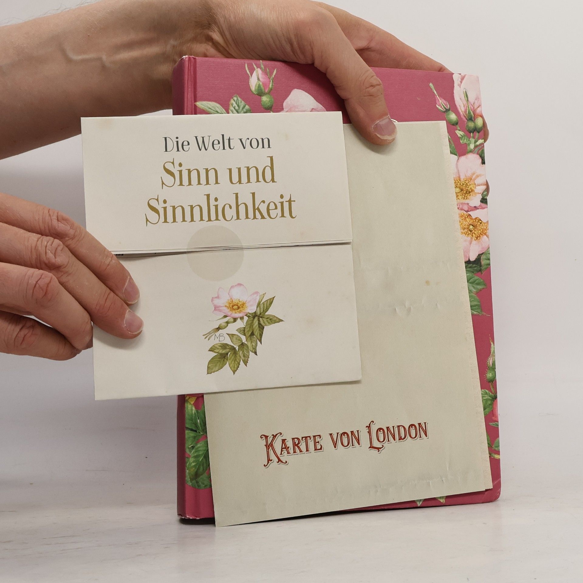 Jane Austen Sinn und Sinnlichkeit