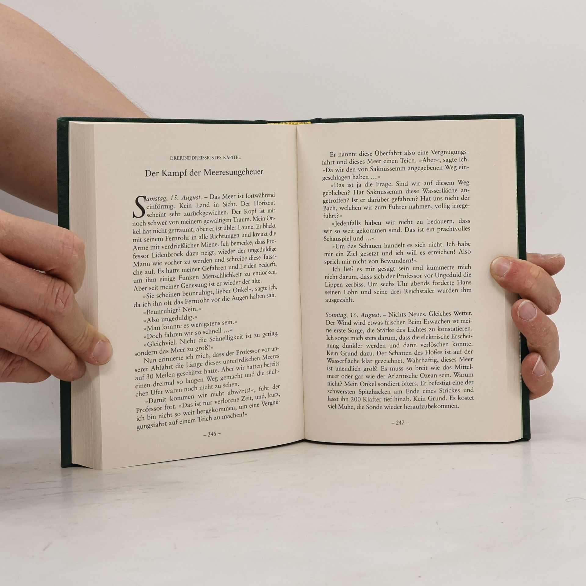 Jules Verne Reise zum Mittelpunkt der Erde