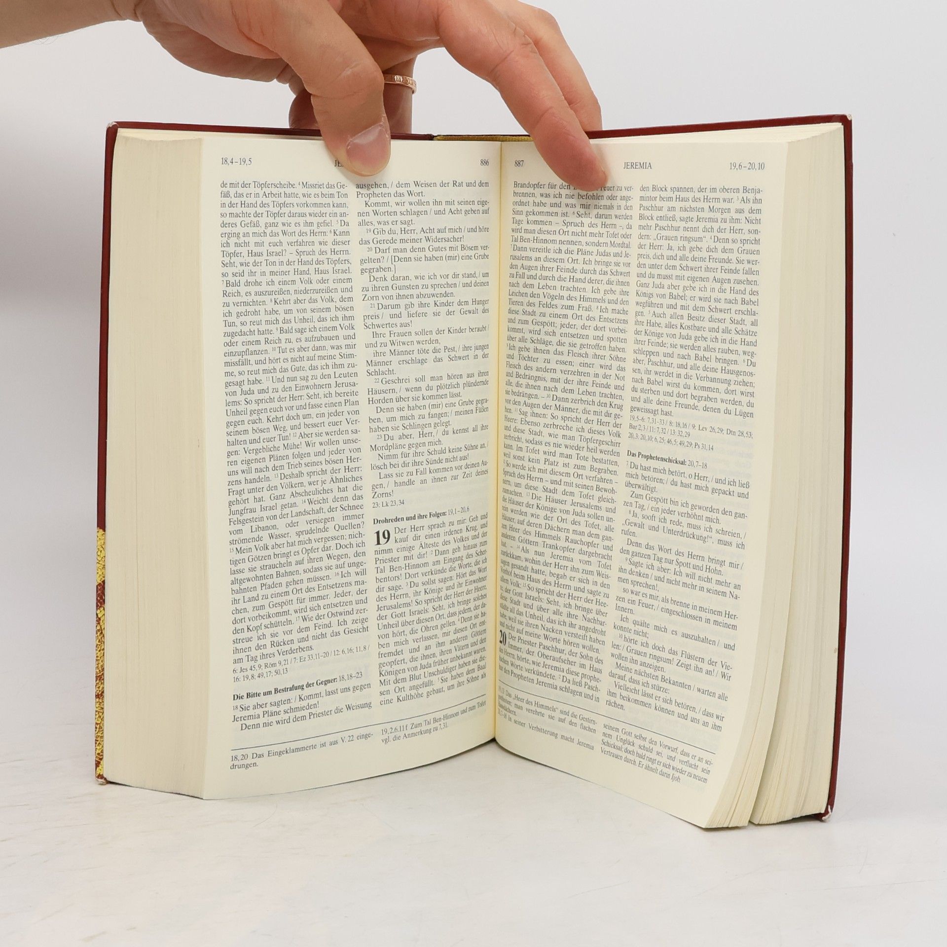 Collectif d'auteurs Die Bibel