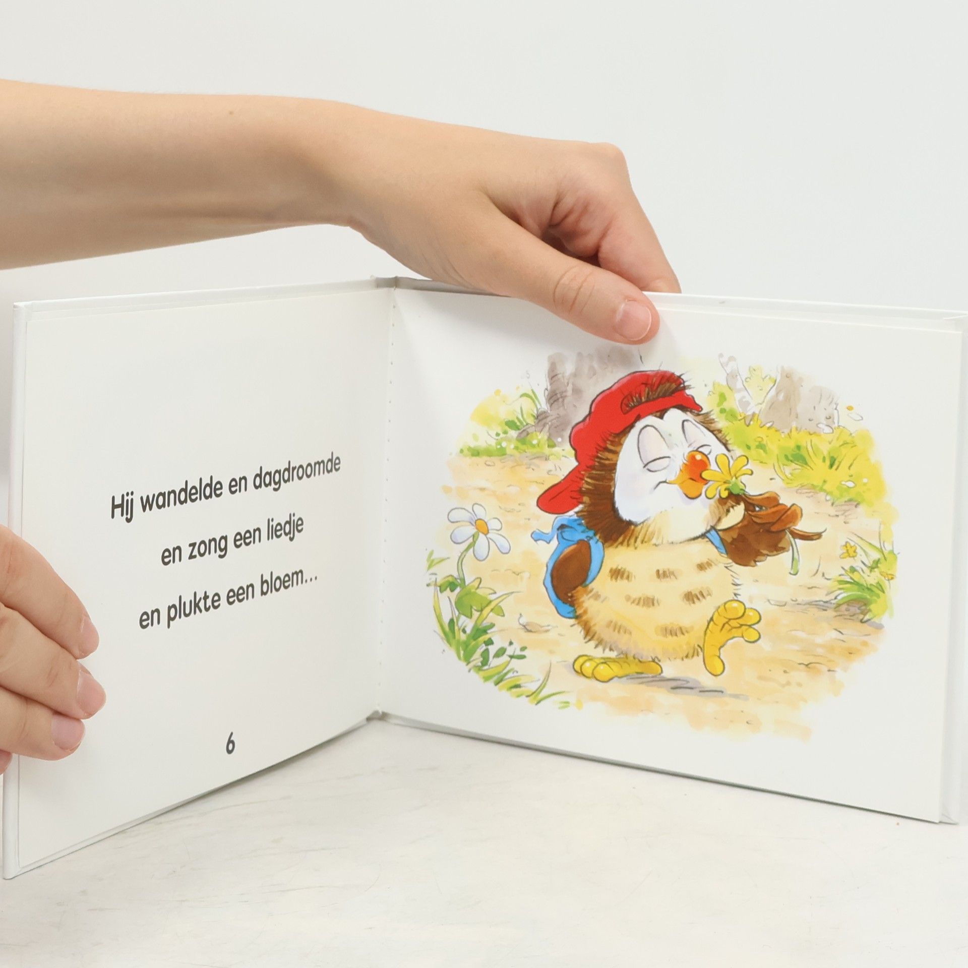 Autores varios Kleine Hoe verdwaald