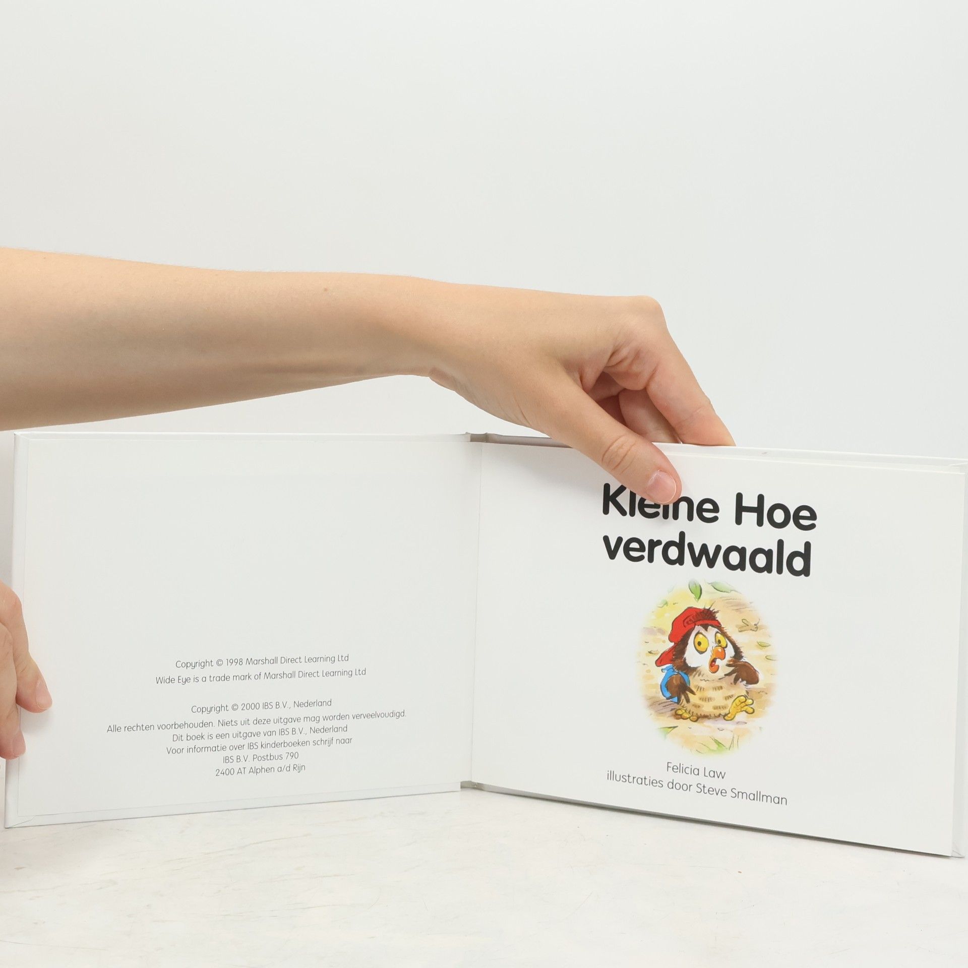 Autores varios Kleine Hoe verdwaald