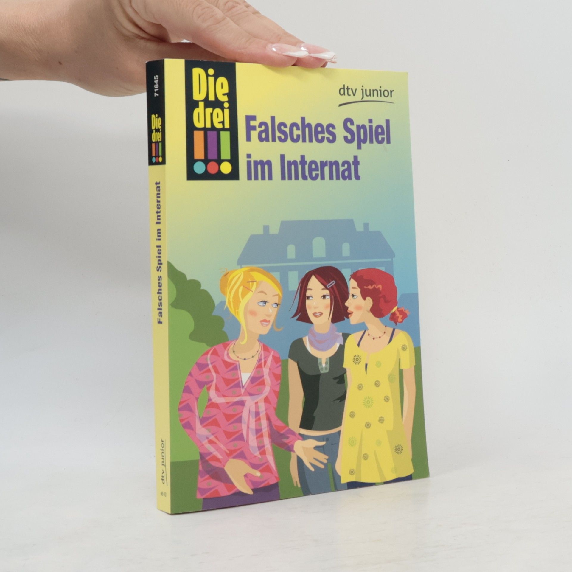 Maja von Vogel Falsches Spiel im Internat