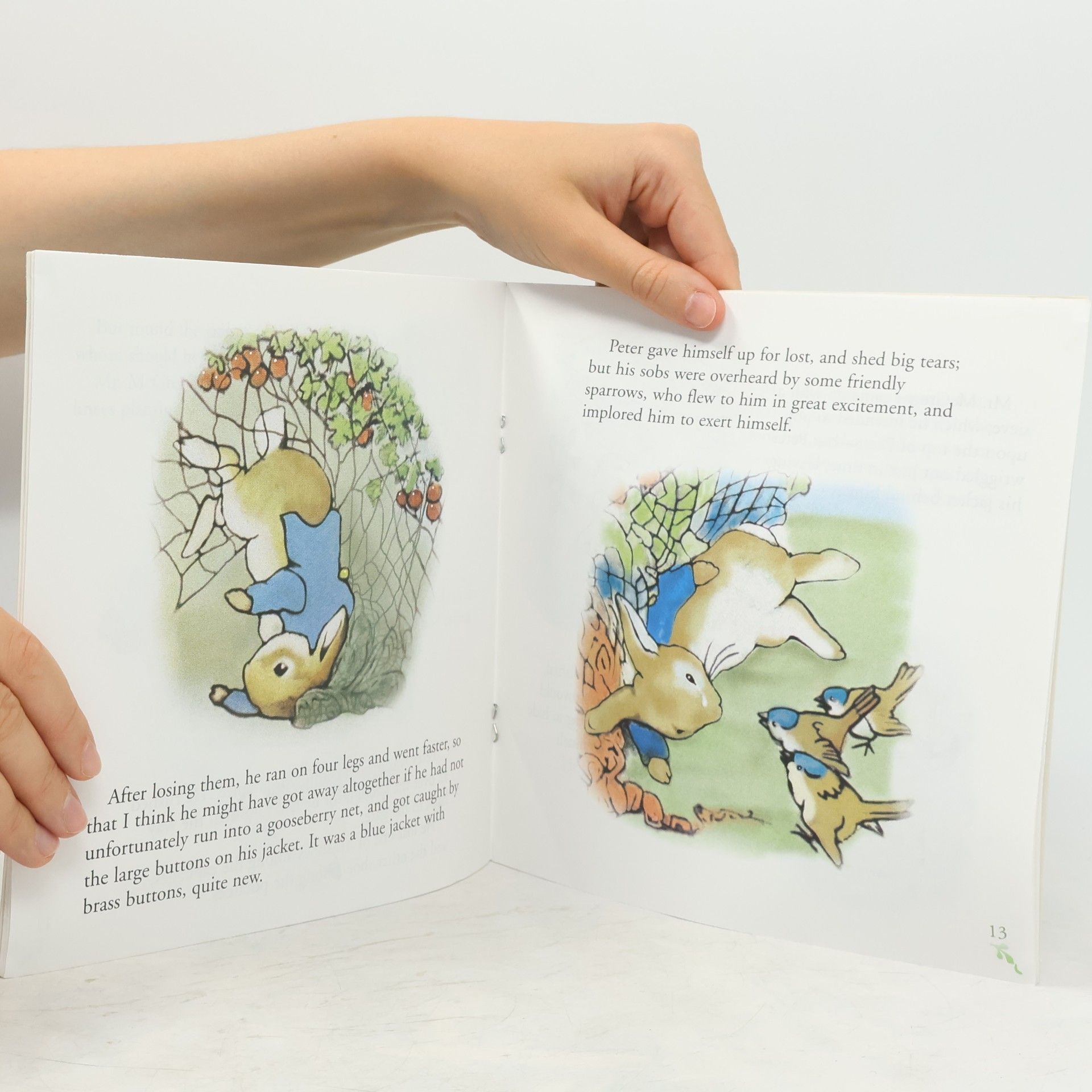 Beatrix Potter The Tale of Peter Rabbit (English and Chinese Edition)