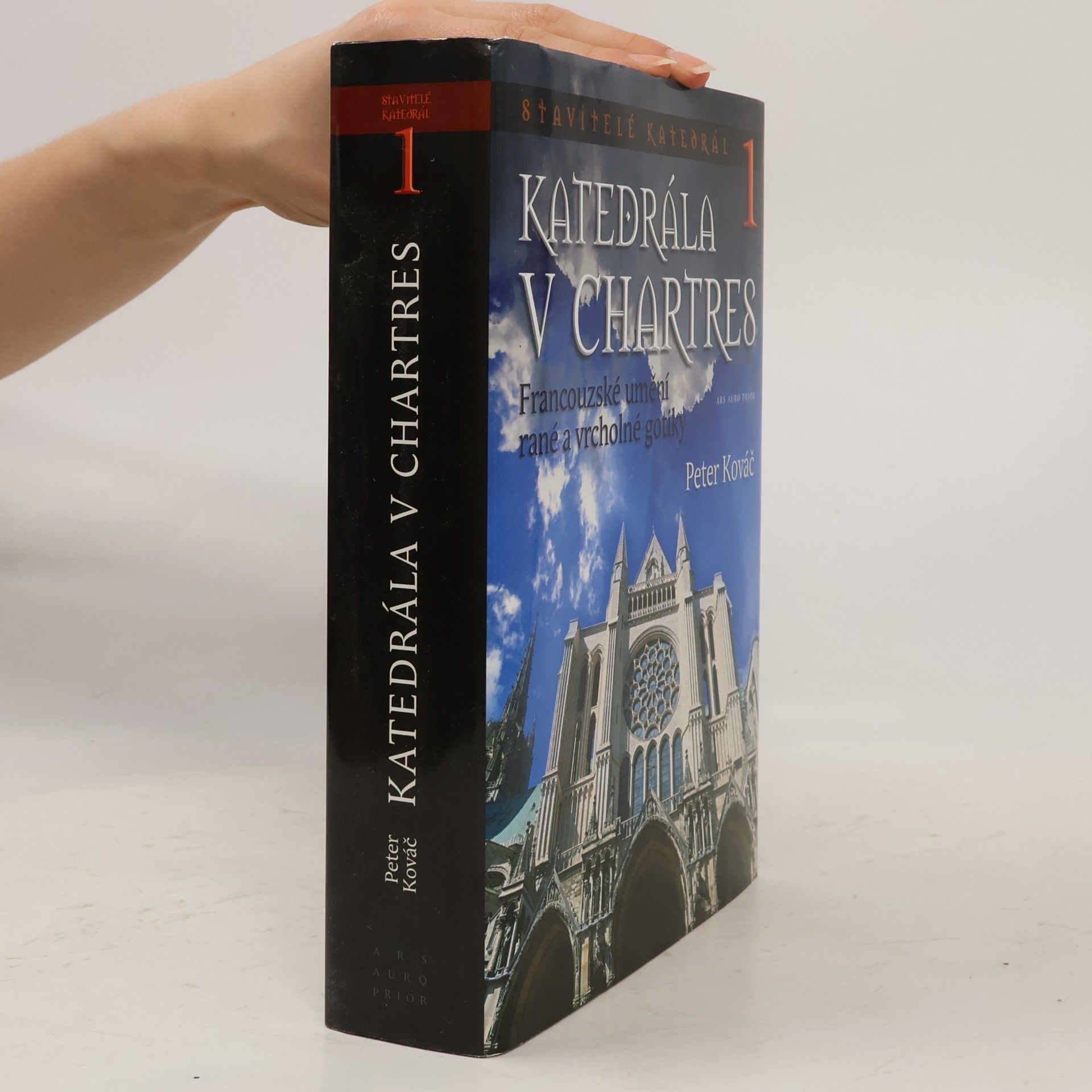 Peter Kováč Katedrála v Chartres