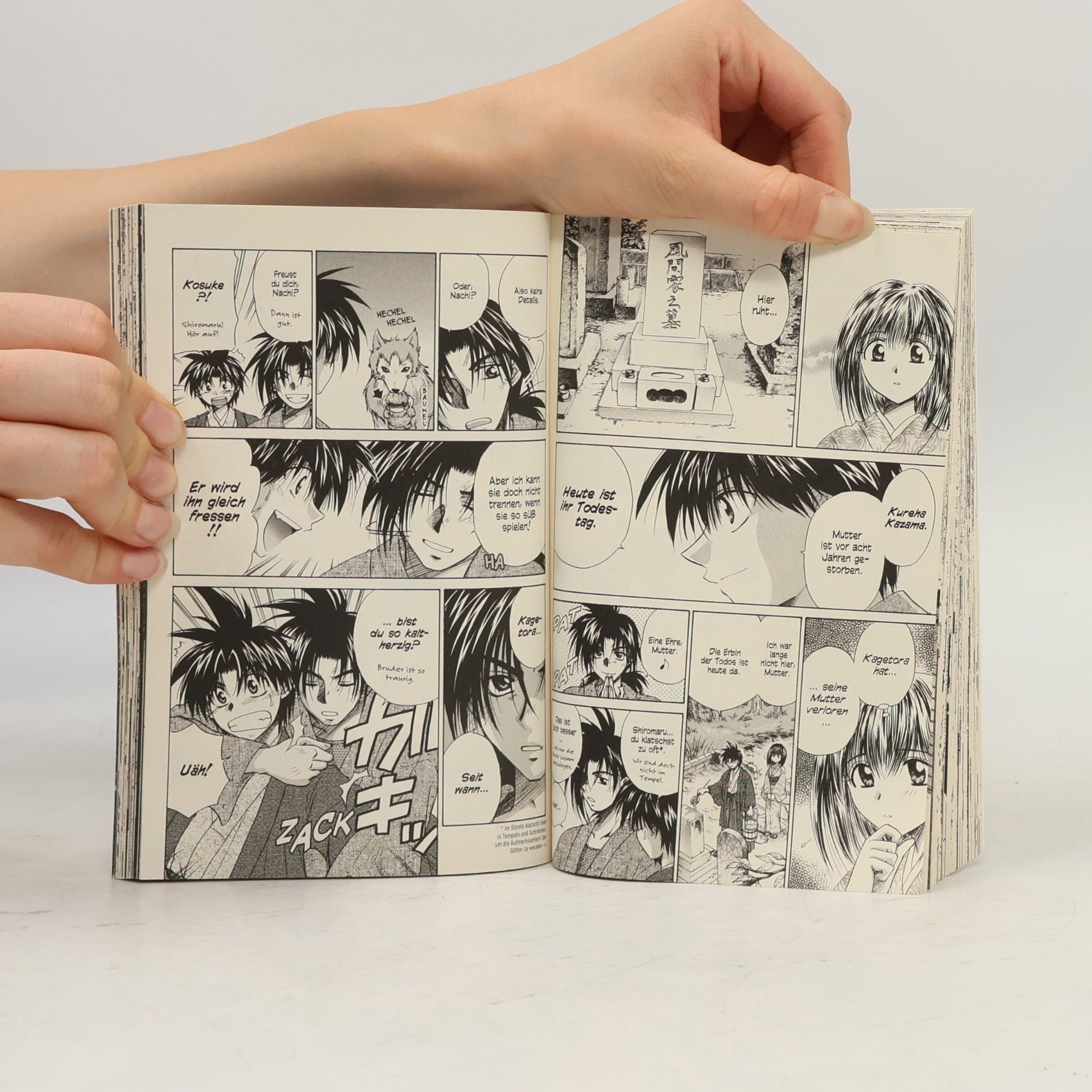 Akira Segami Kagetora 4