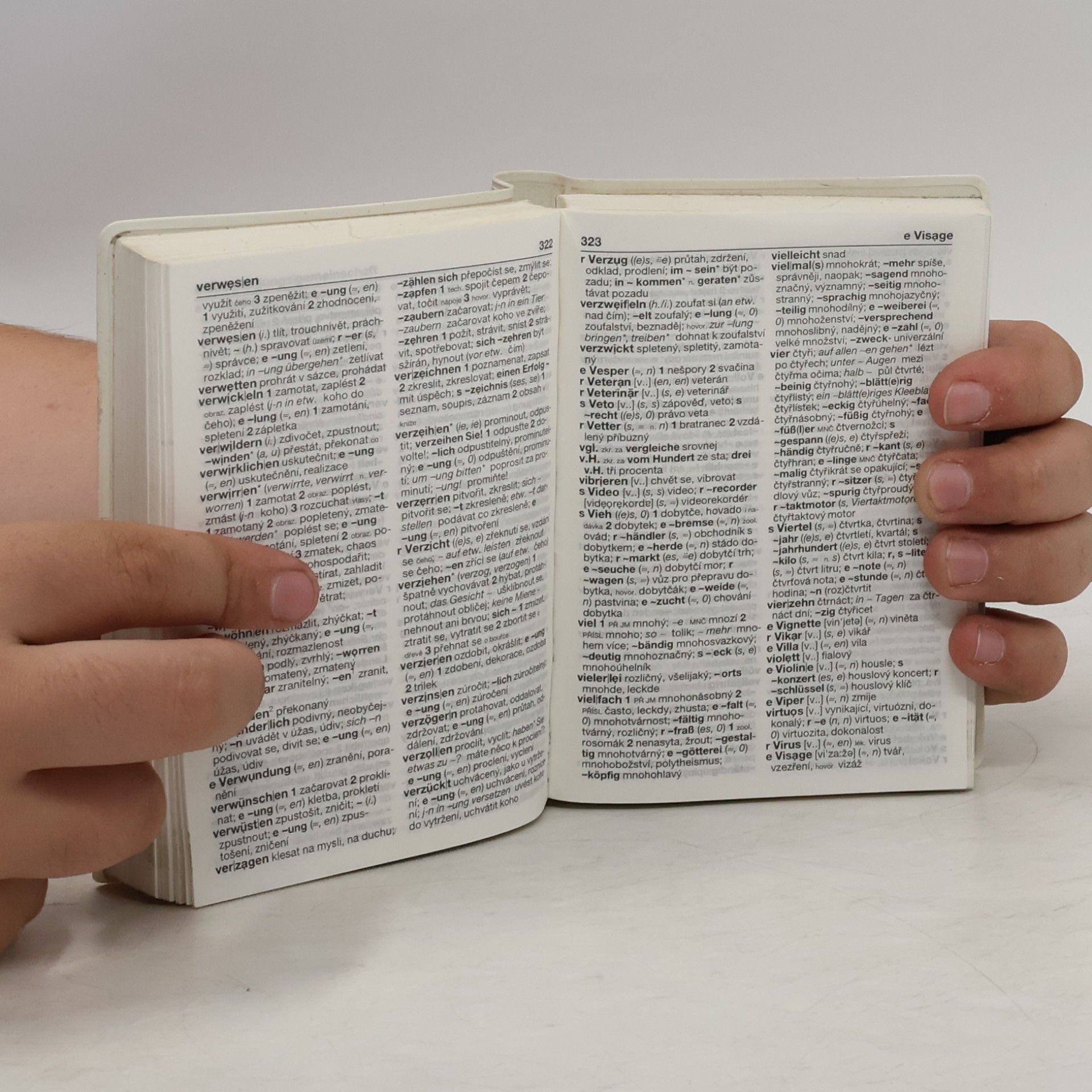 Autorenkollektiv Německo-český, česko-německý slovník