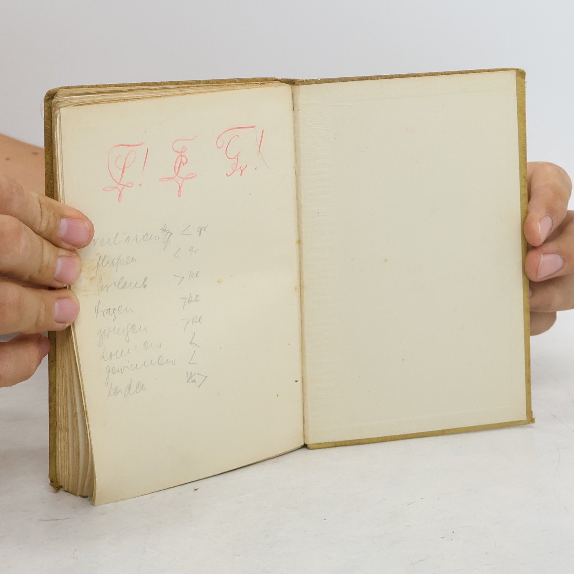 Wolfgang Golther Der Nibelunge Nôt in Auswahl und mittelhochdeutsche Sprachlehre mit kurzem Wörterbuch