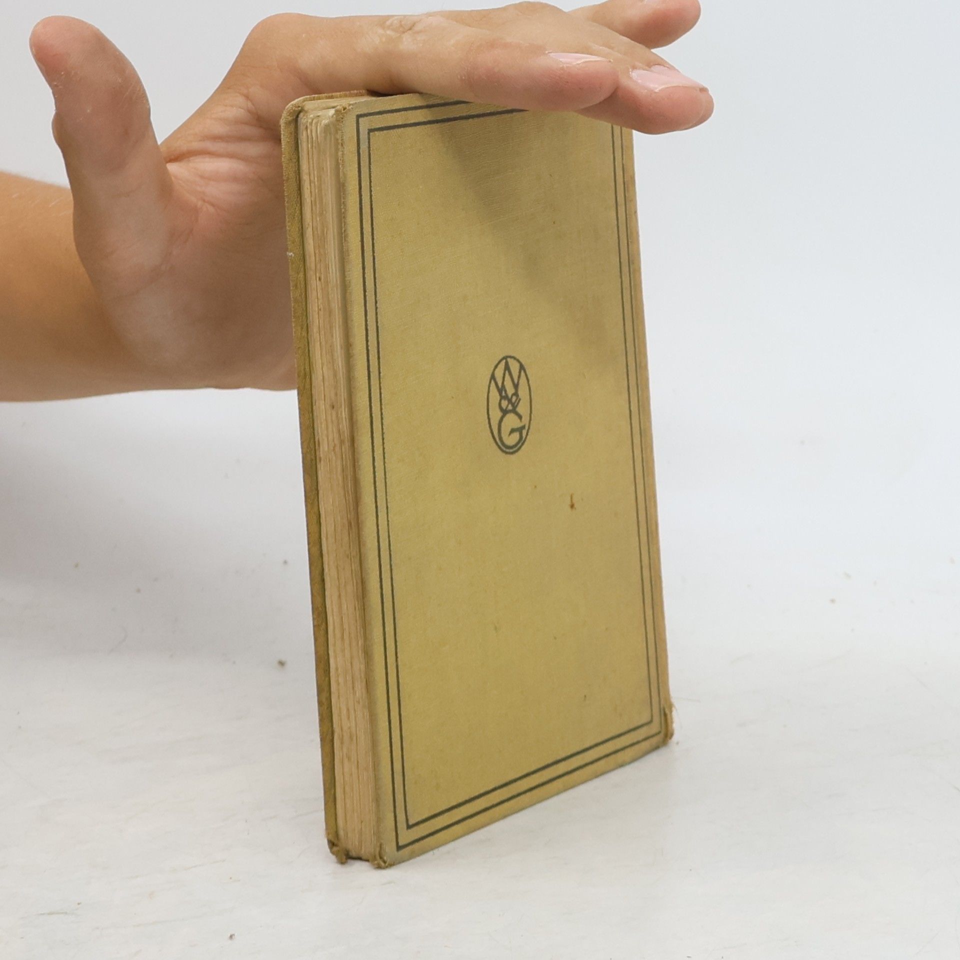 Wolfgang Golther Der Nibelunge Nôt in Auswahl und mittelhochdeutsche Sprachlehre mit kurzem Wörterbuch