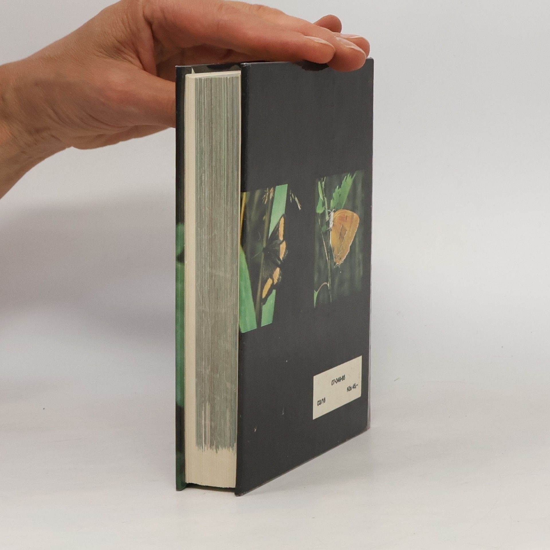 Rudolf Hrabák Kapesní atlas našich motýlů