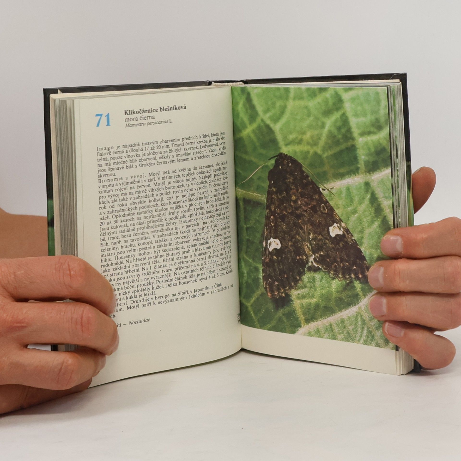 Rudolf Hrabák Kapesní atlas našich motýlů