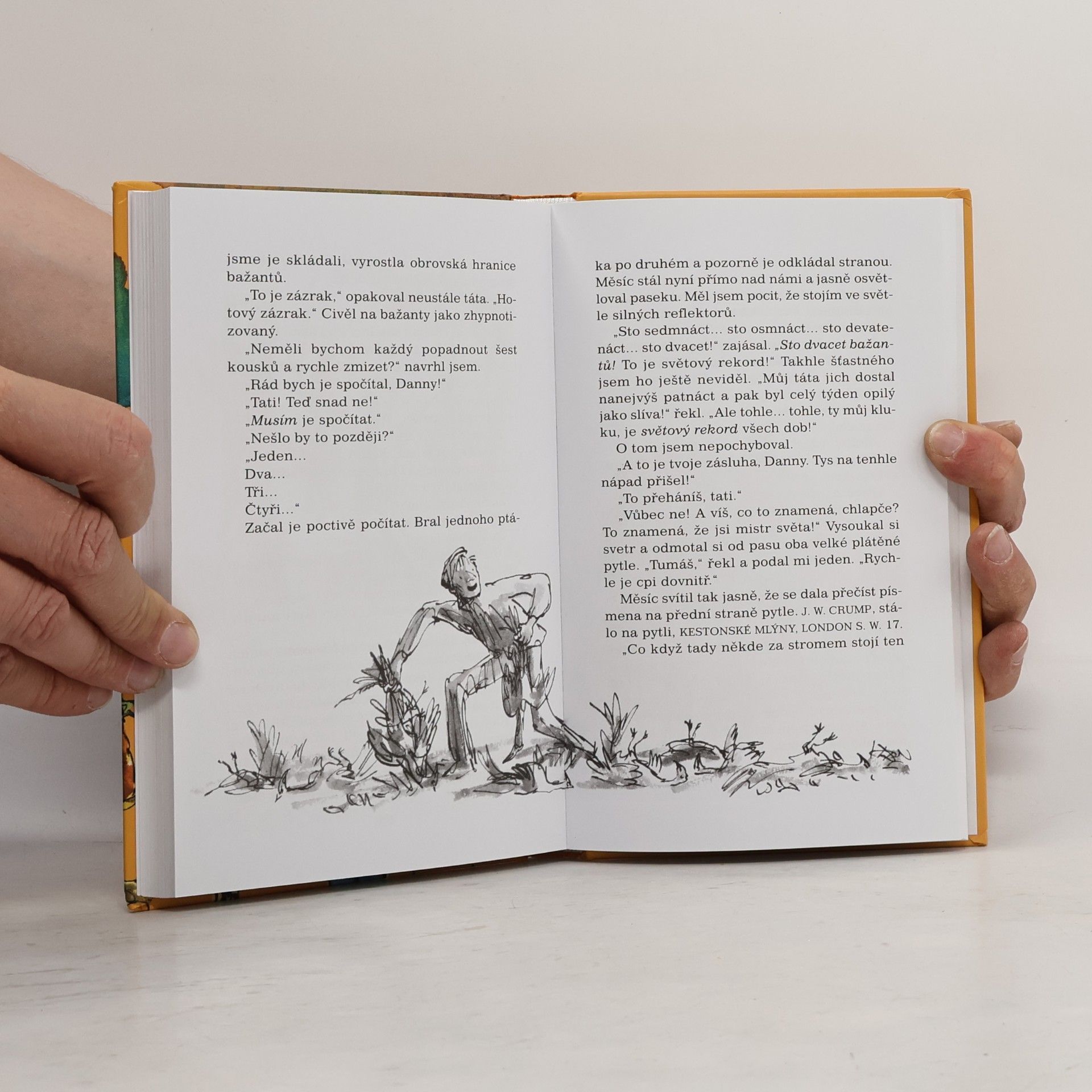 Roald Dahl Danny, mistr světa