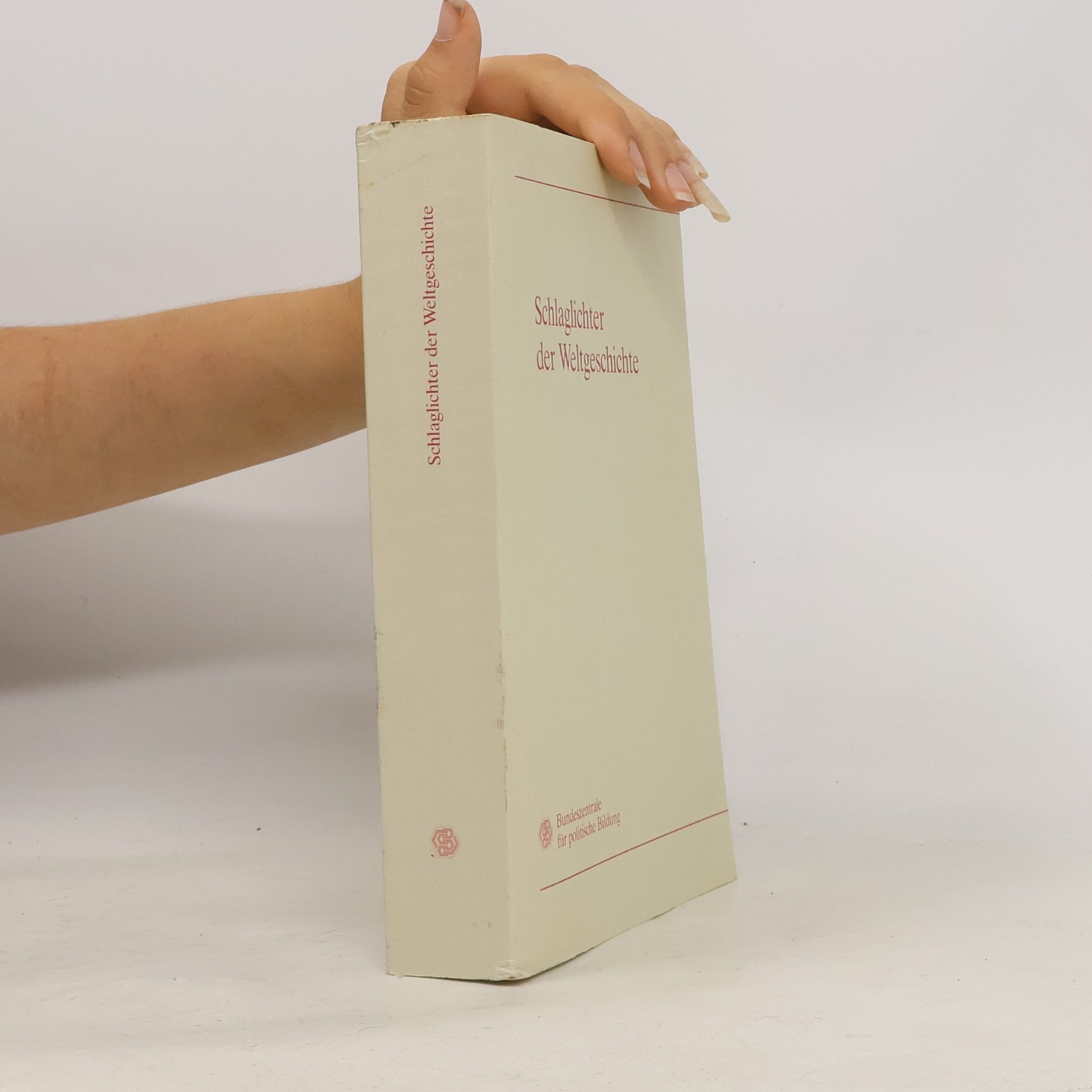 Autorenkollektiv Schlaglichter der Weltgeschichte