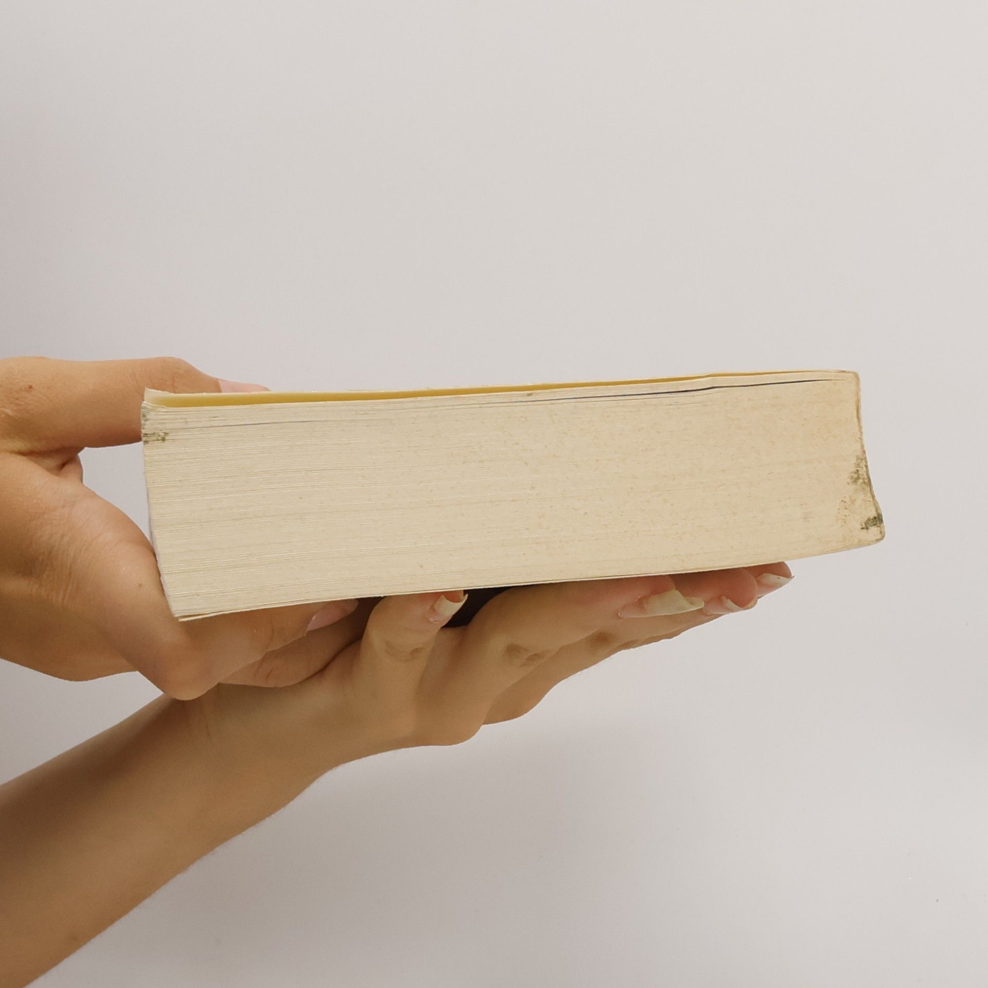 Autorenkollektiv Schlaglichter der Weltgeschichte