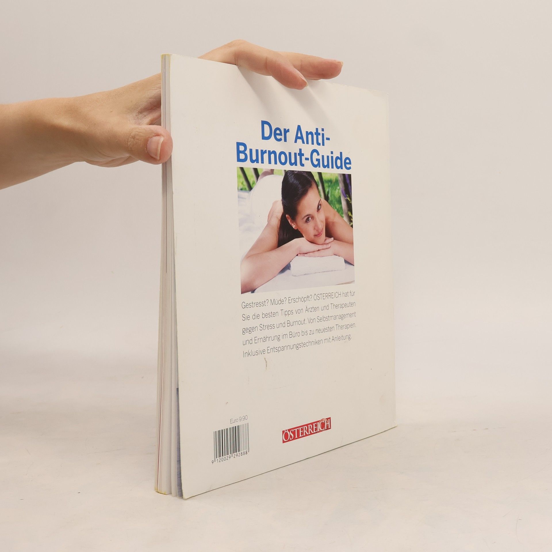 Various authors Der Anti-burnout Guide