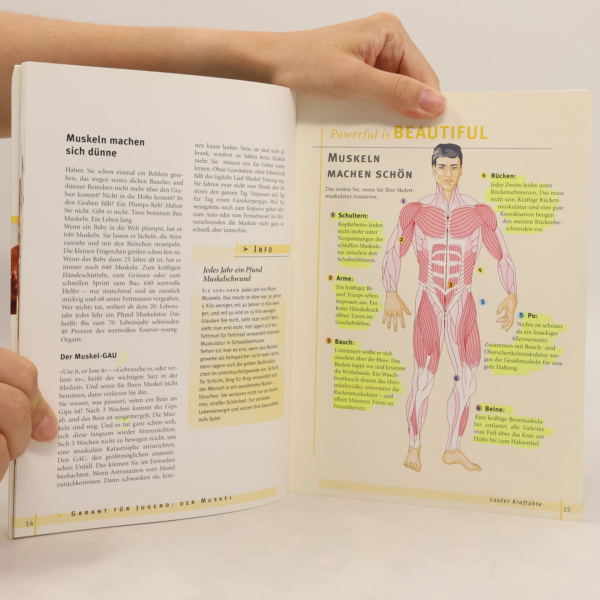 Ulrich Strunz Forever young - das Muskelbuch