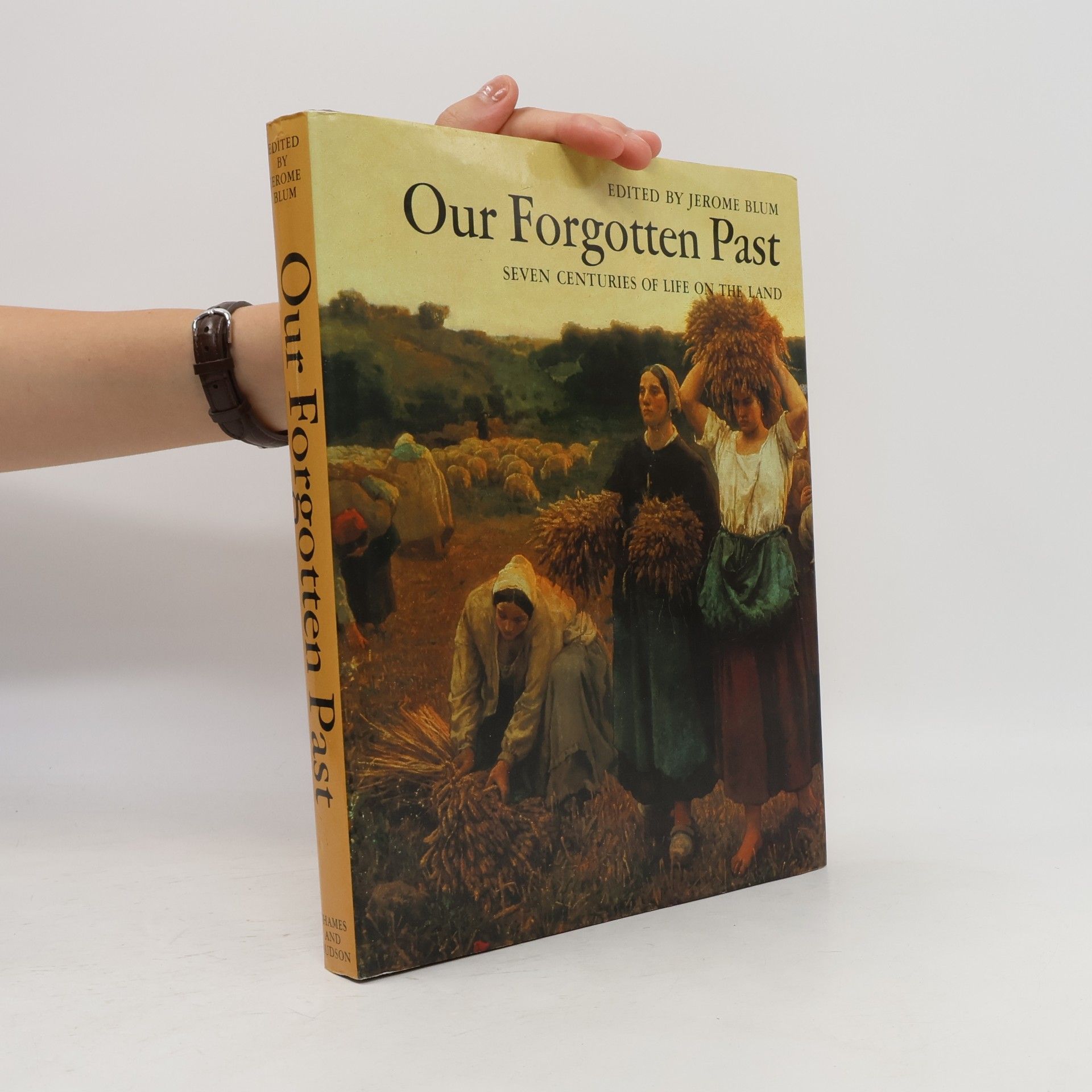 Jerome Blum Our Forgotten Past