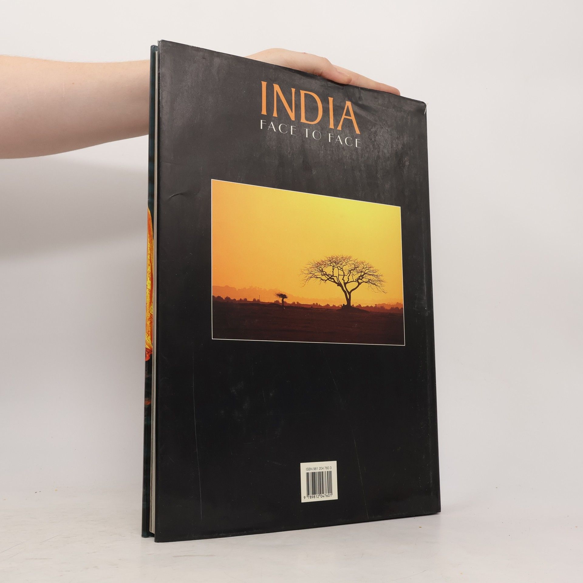 Kolektiv autorů India. Face To Face