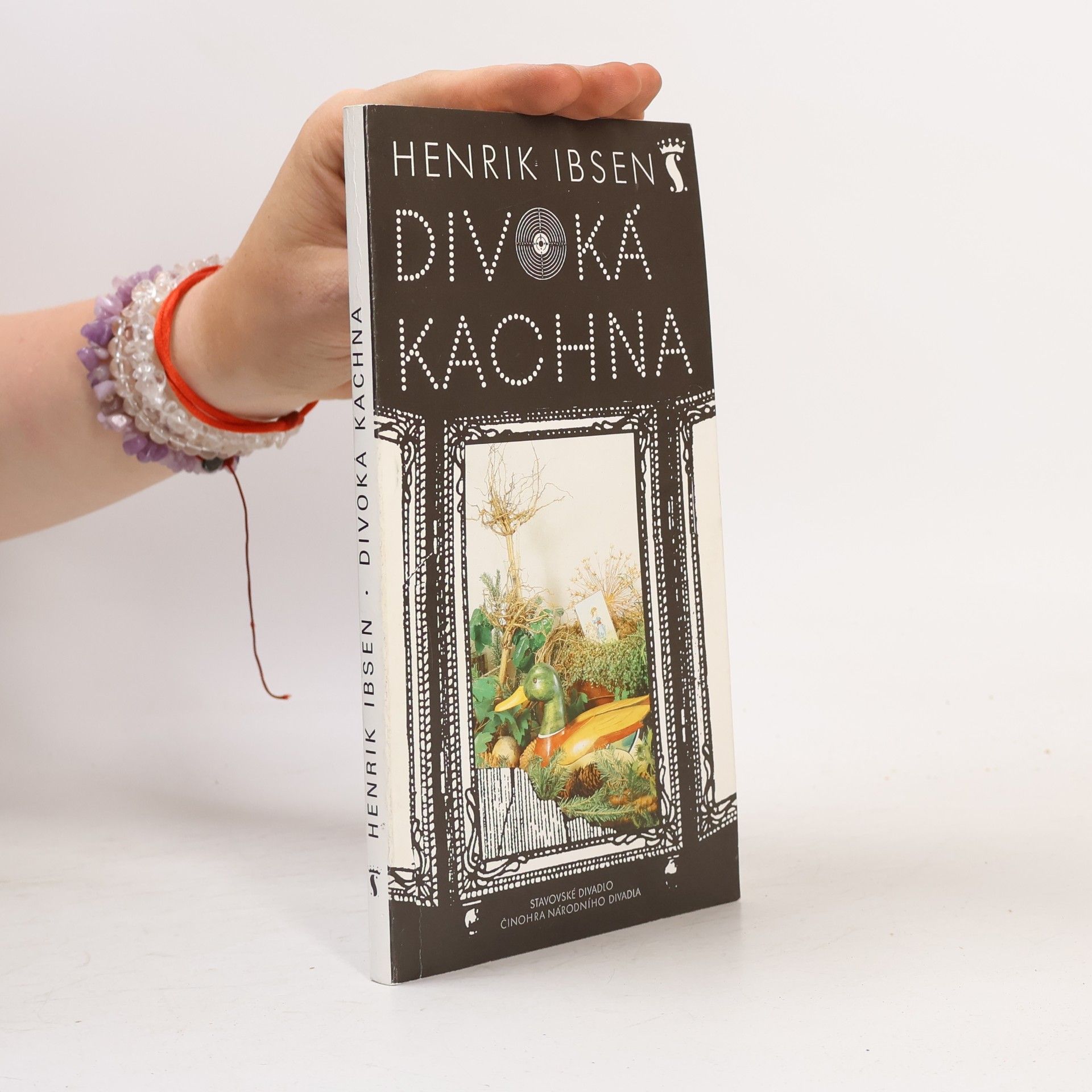 Henrik Ibsen Divoká kachna