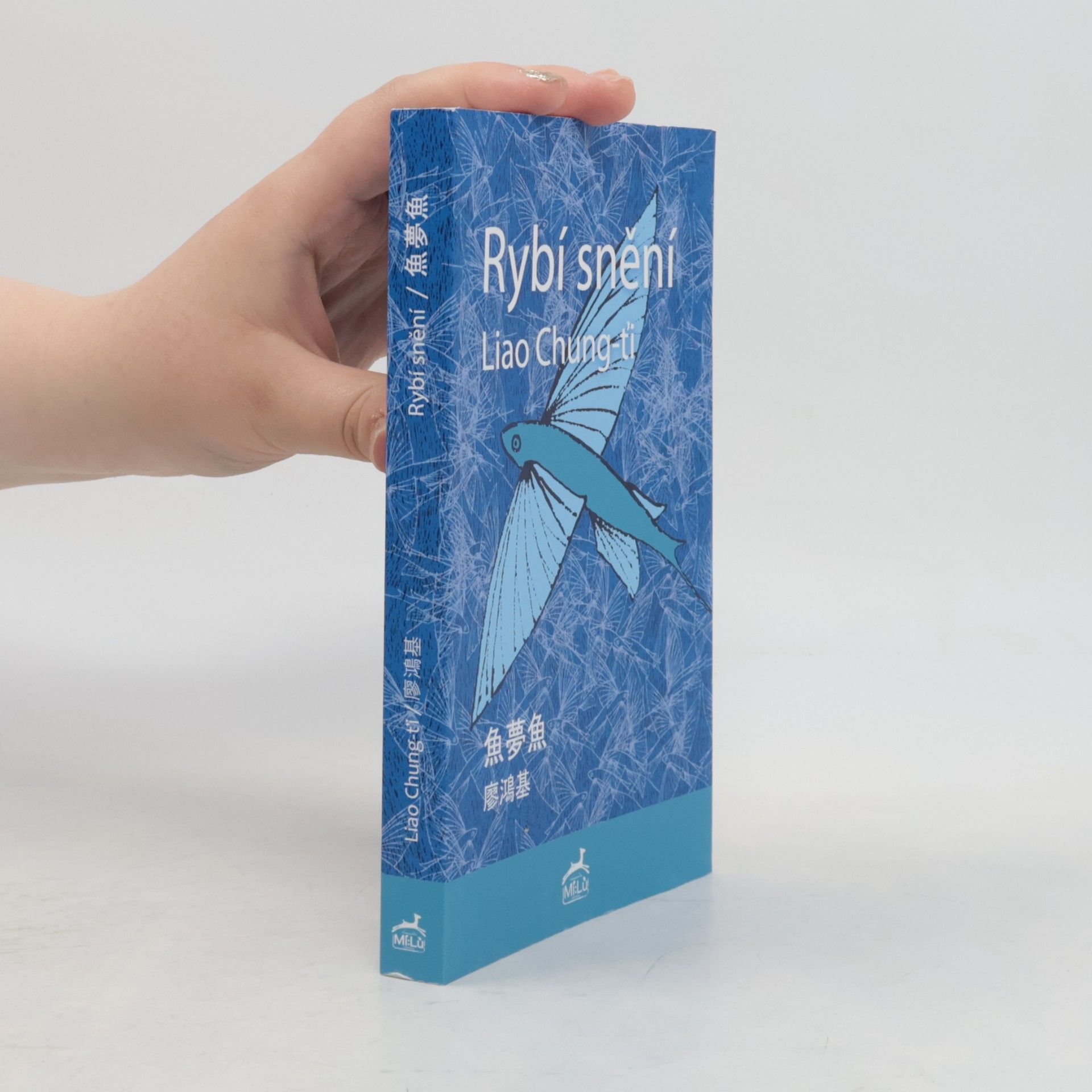廖鴻基 Rybí snění