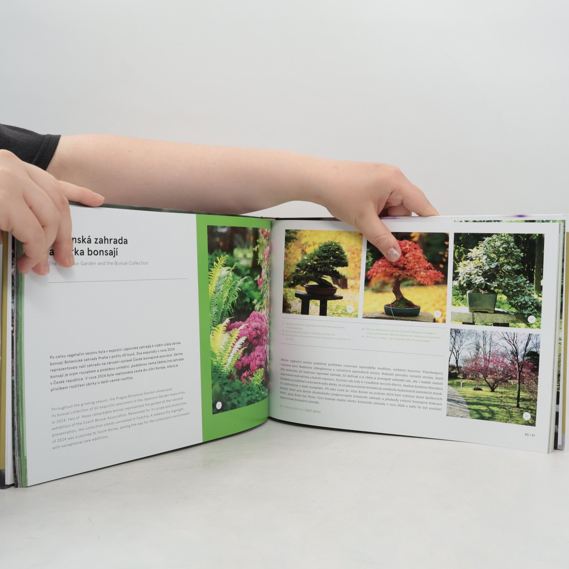 Kolektiv zaměstnanců Botanické zahrady hl. m. Prahy Výroční zpráva Botanické zahrady hl. m. Prahy 2024 / Prague Botanical Garden Annual Report for 2024