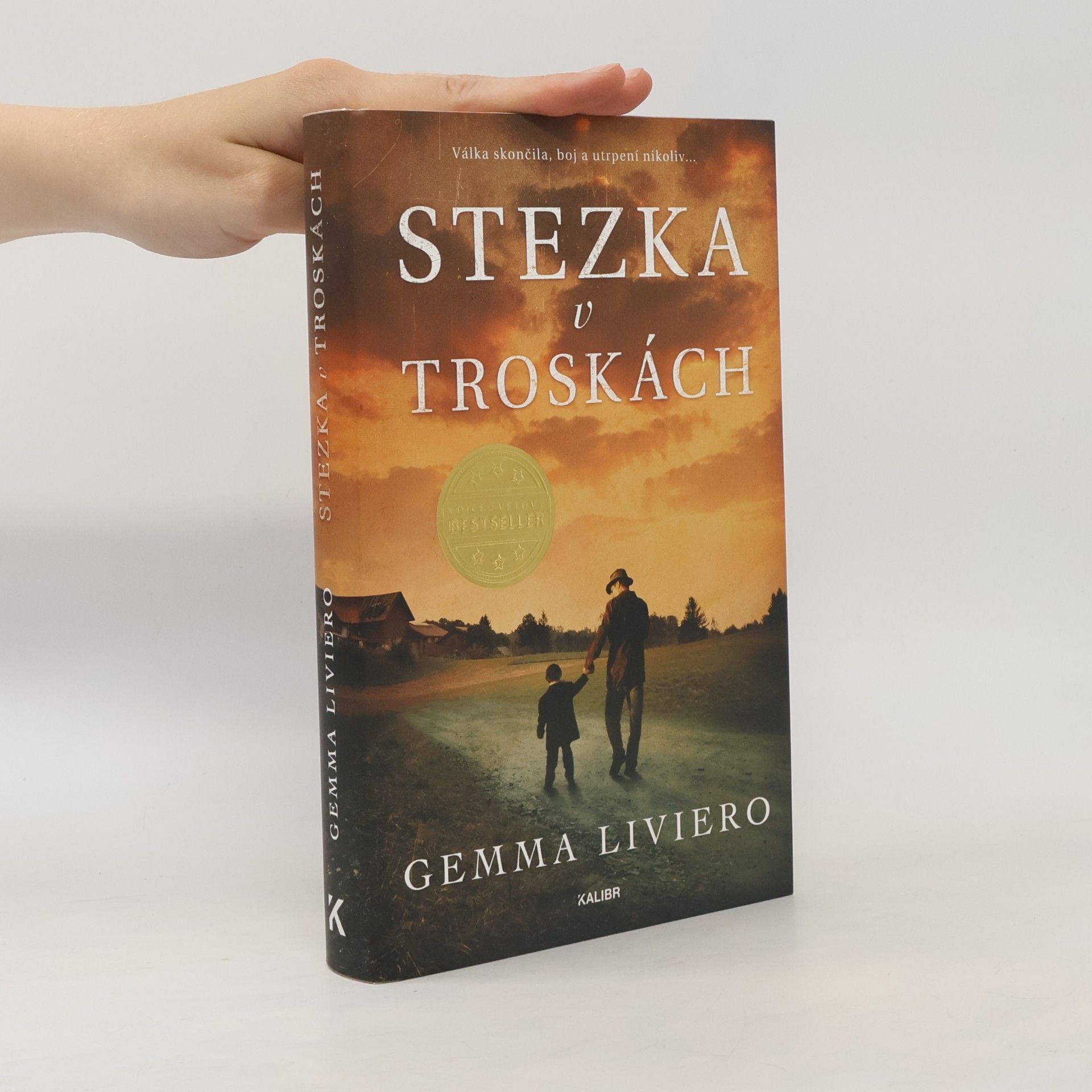 Stezka v troskách