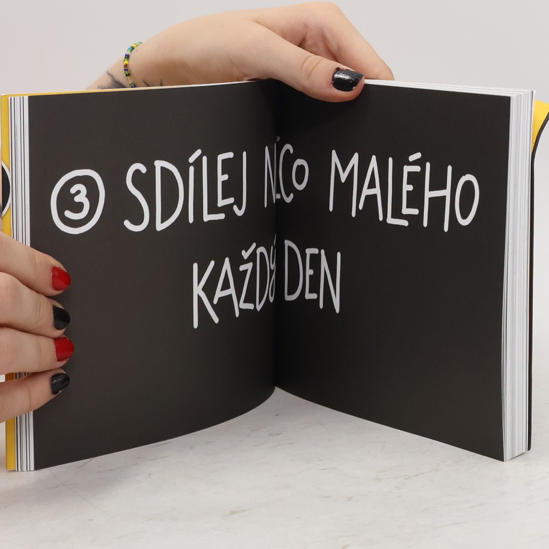 Austin Kleon Ukaž, co děláš! 10 způsobů, jak sdílet svou kreativitu a nechat se objevit