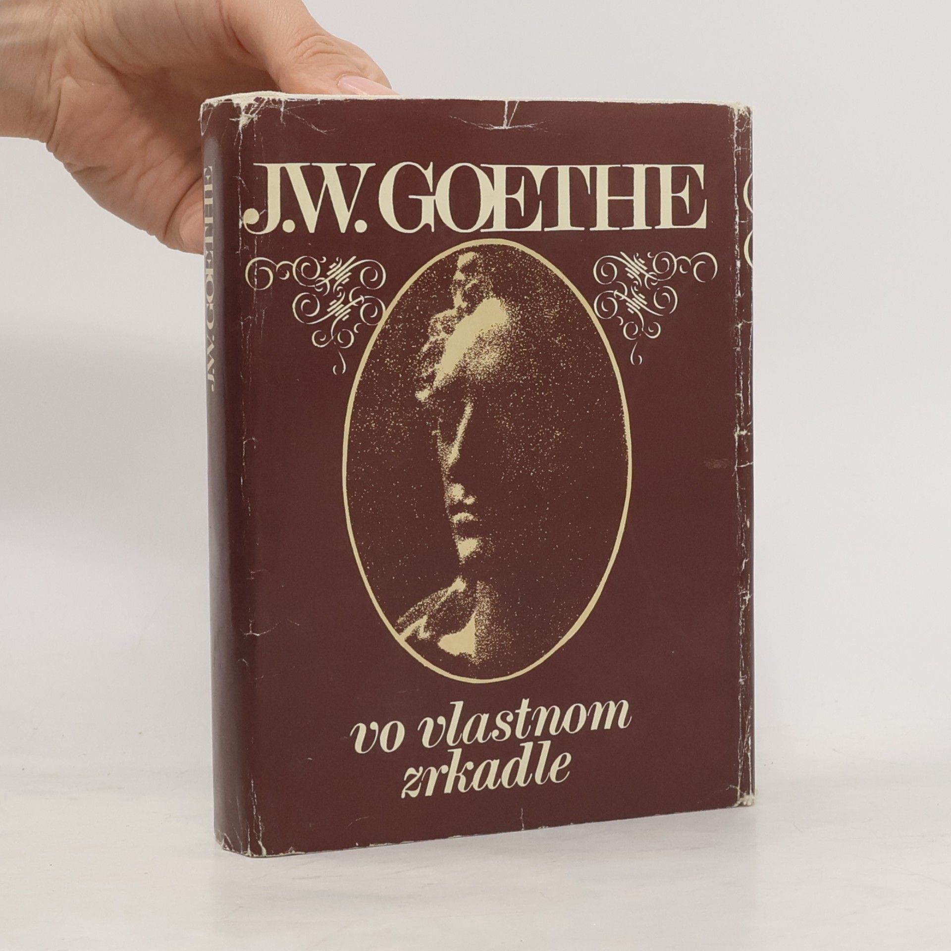 Johann Wolfgang von Goethe Vo vlastnom zrkadle