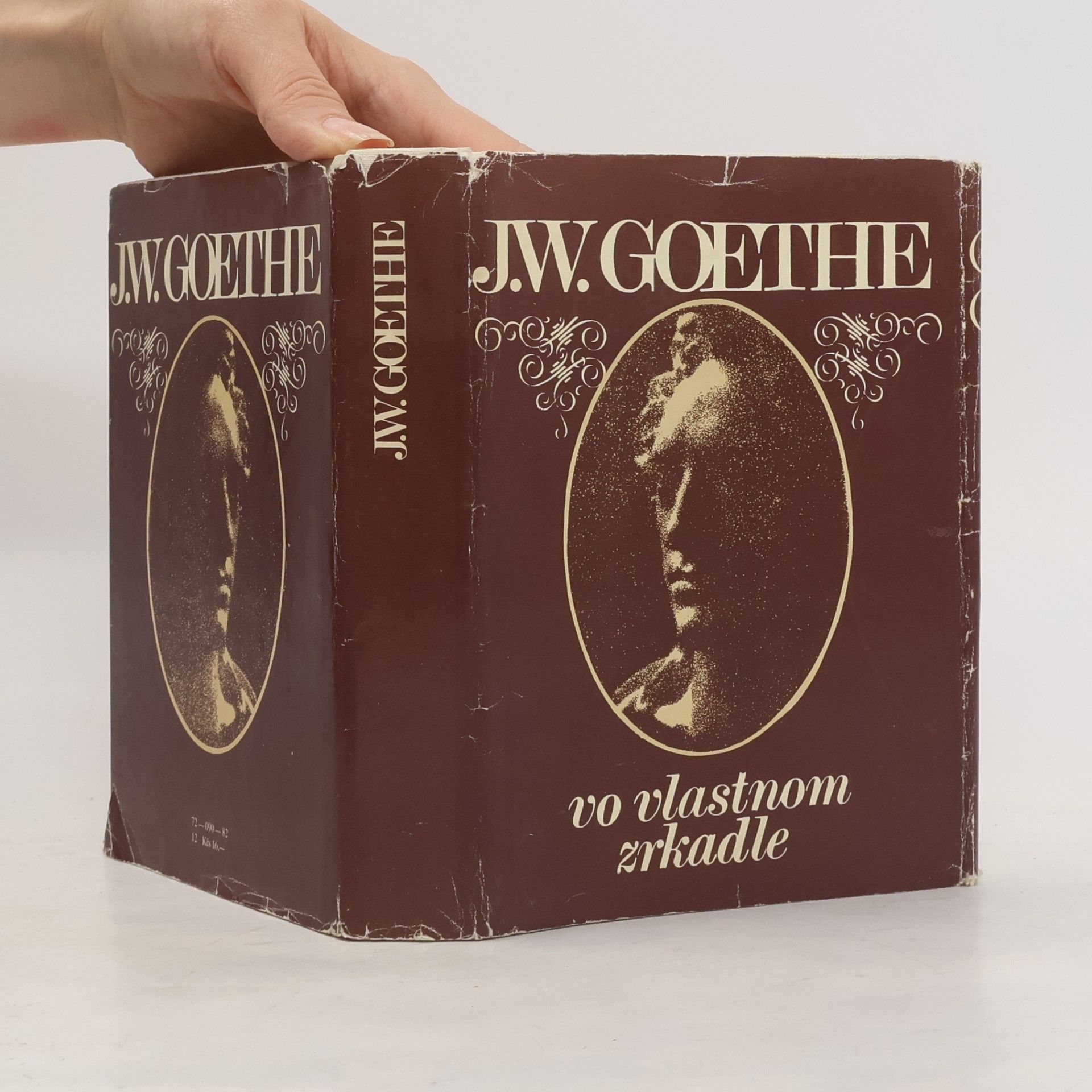 Johann Wolfgang von Goethe Vo vlastnom zrkadle