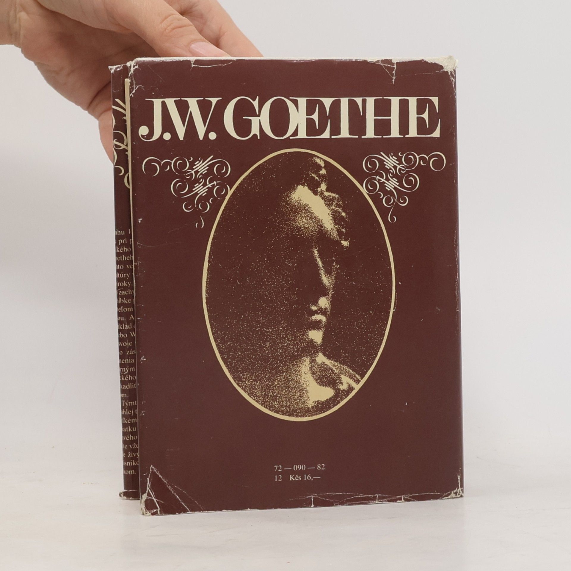 Johann Wolfgang von Goethe Vo vlastnom zrkadle