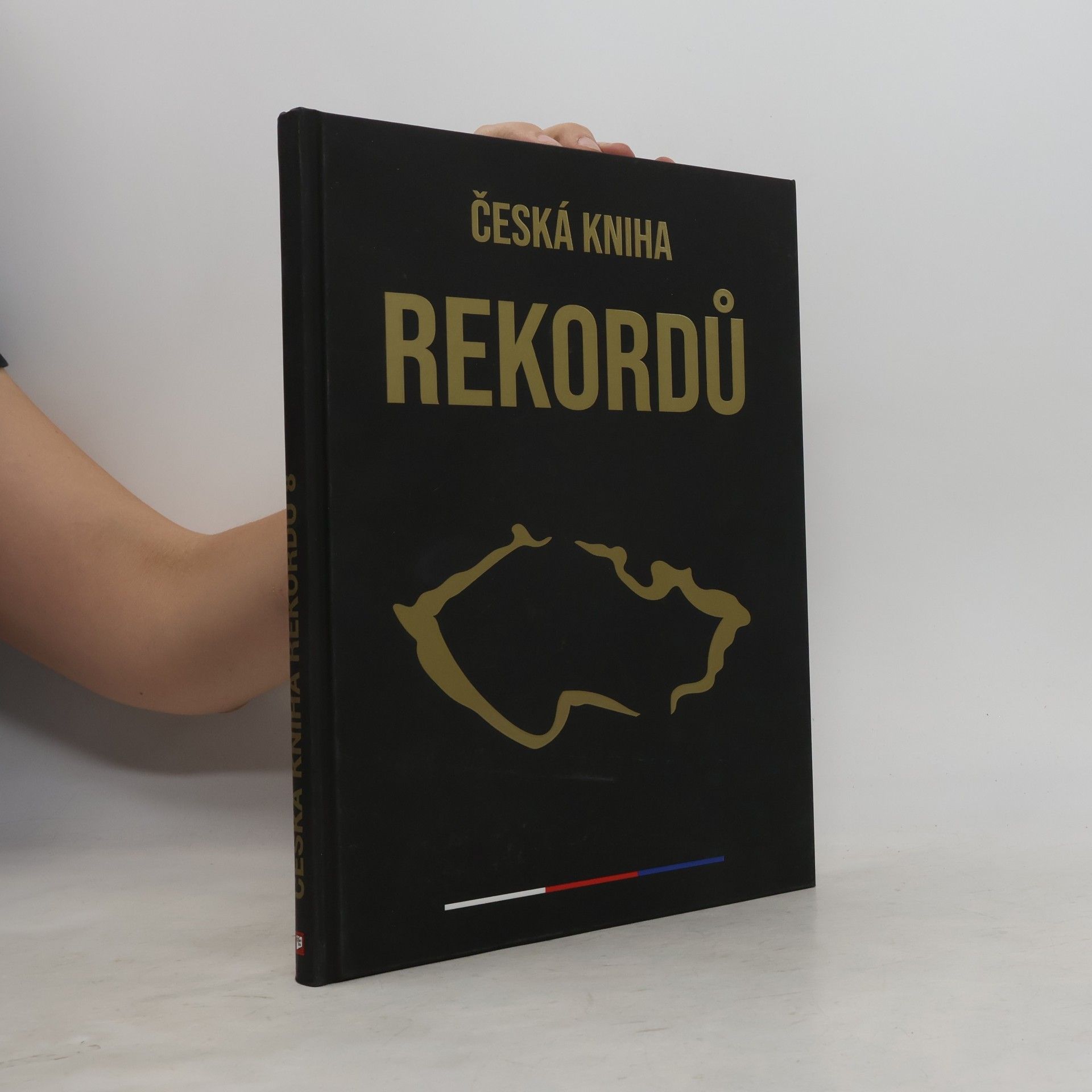 Česká kniha rekordů 8