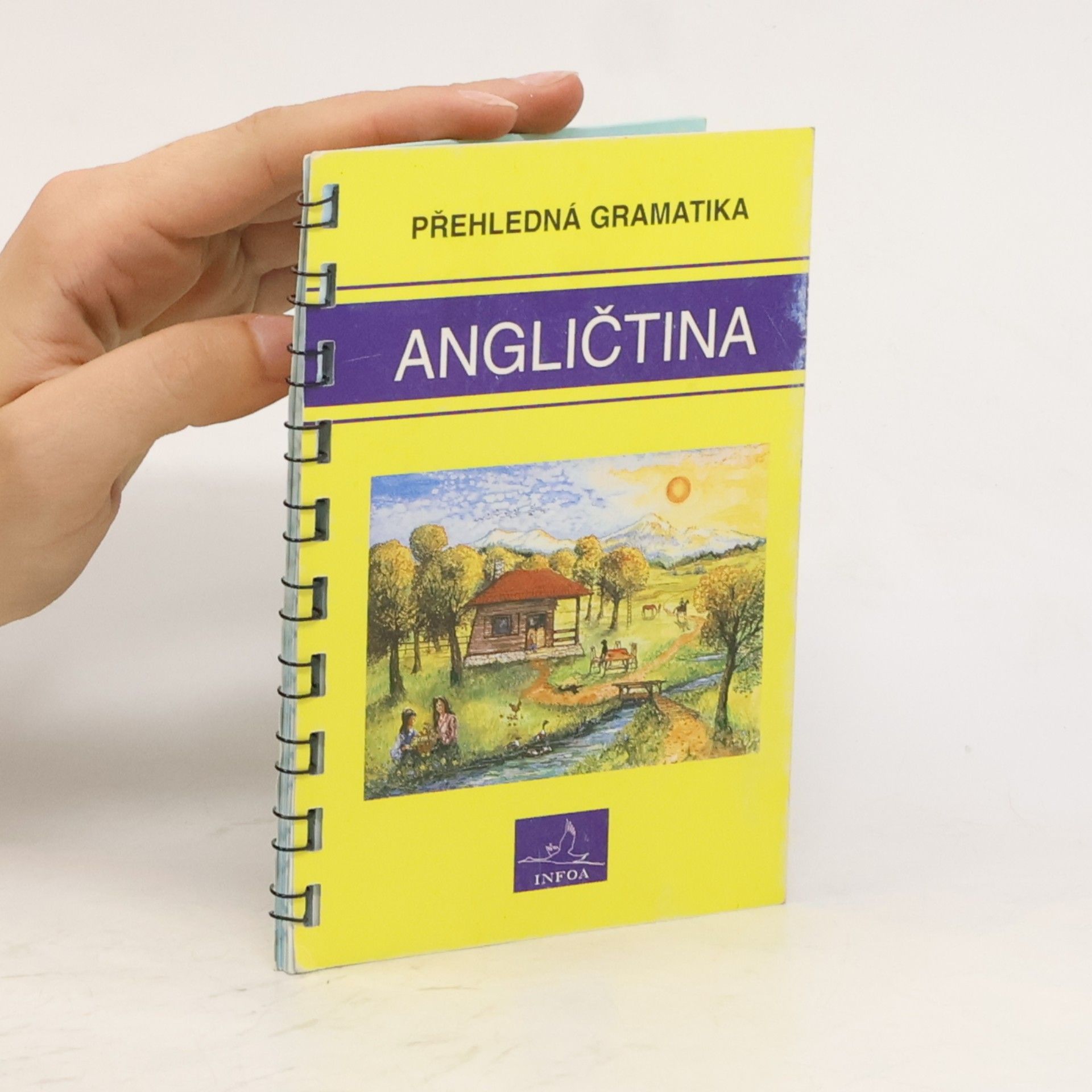 Gary Grabbe Angličtina. Přehledná gramatika