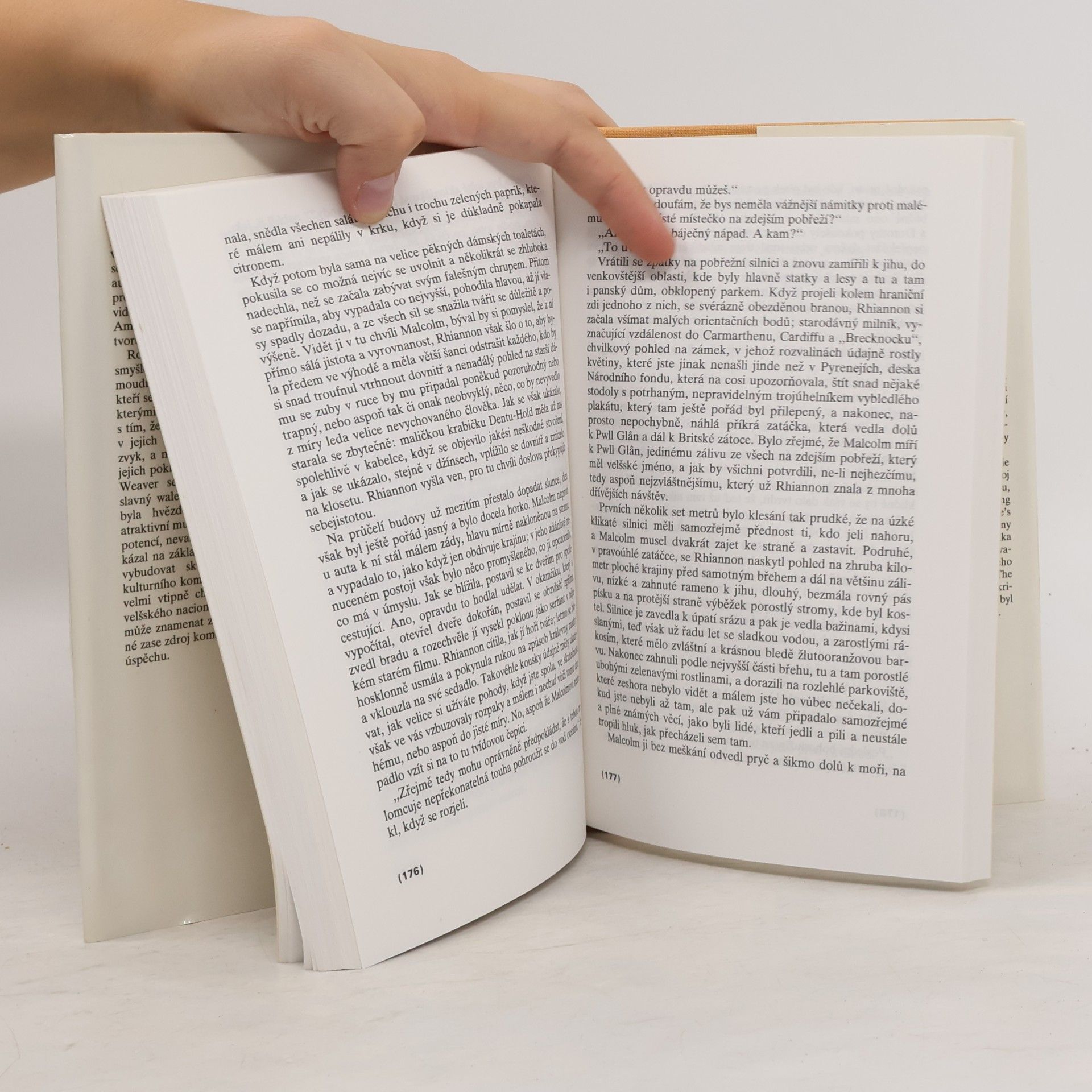 Kingsley Amis Staří parťáci