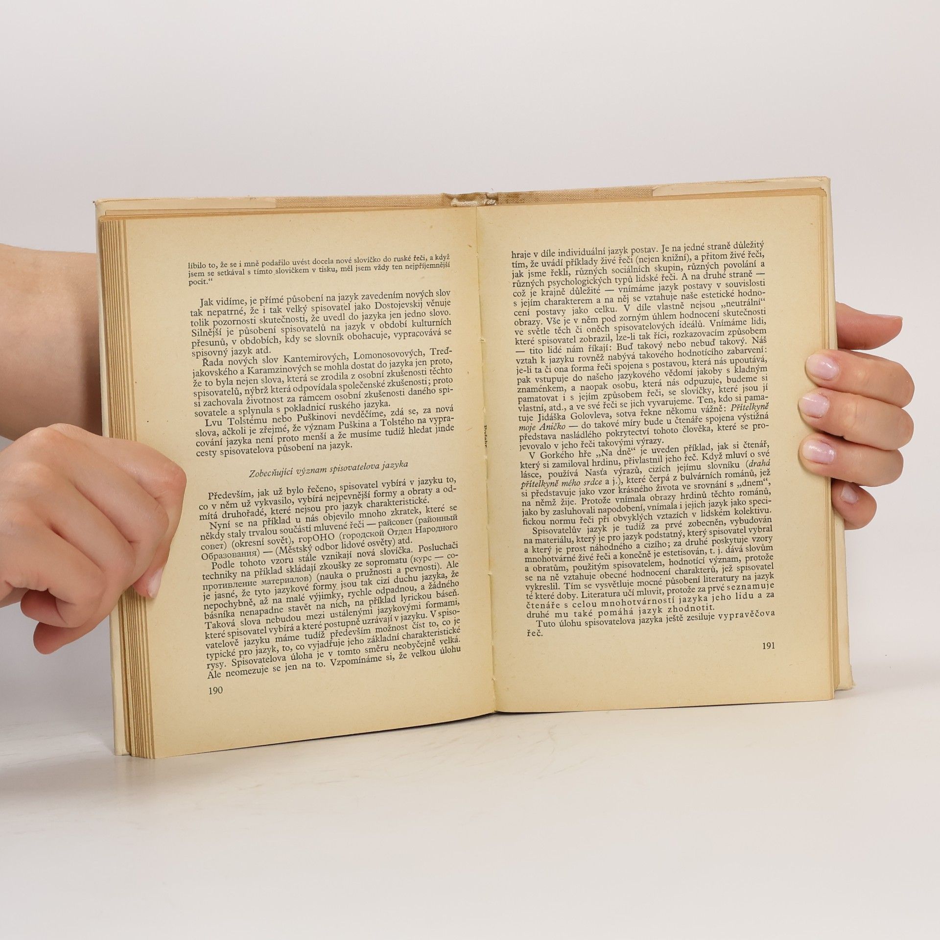 Leonid Ivanovič Timofejev Theorie literatury