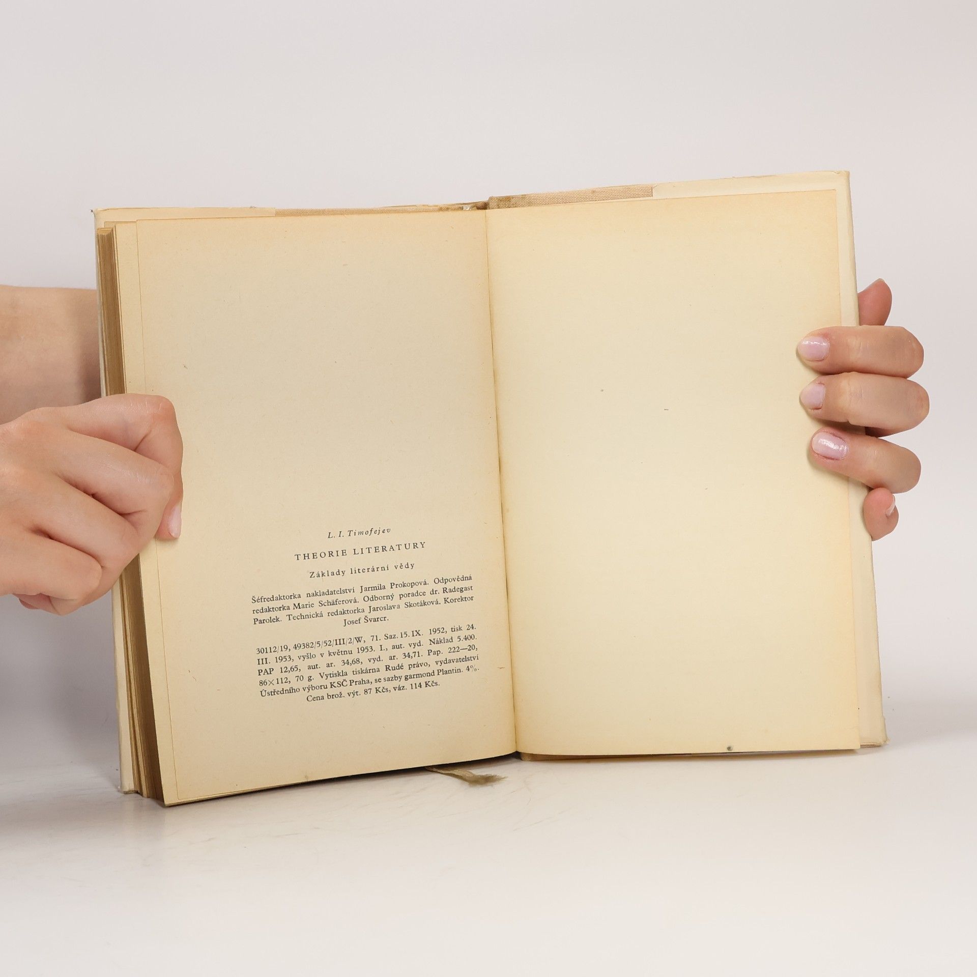 Leonid Ivanovič Timofejev Theorie literatury