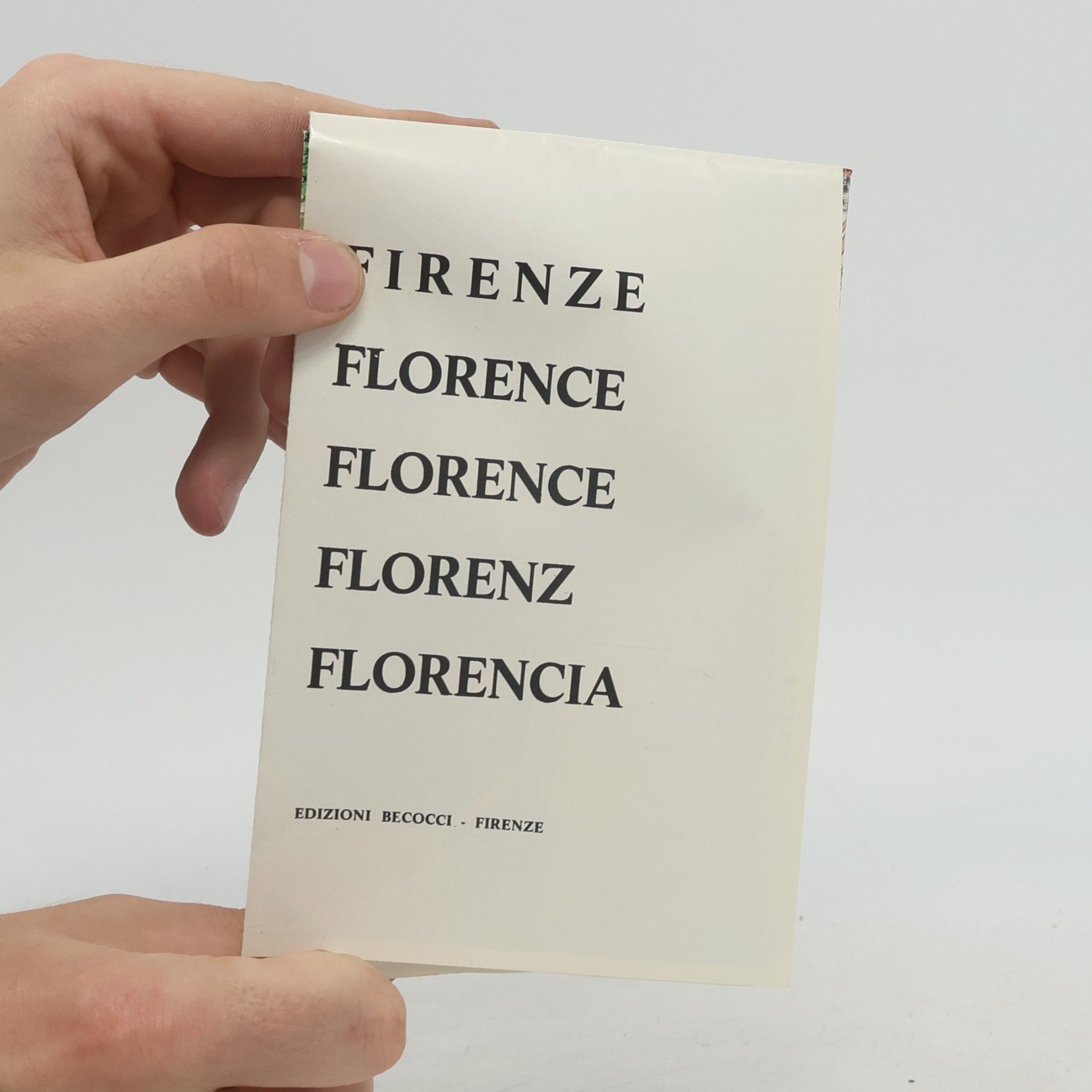 R. Bartolini New Guide Florence and Its Hills